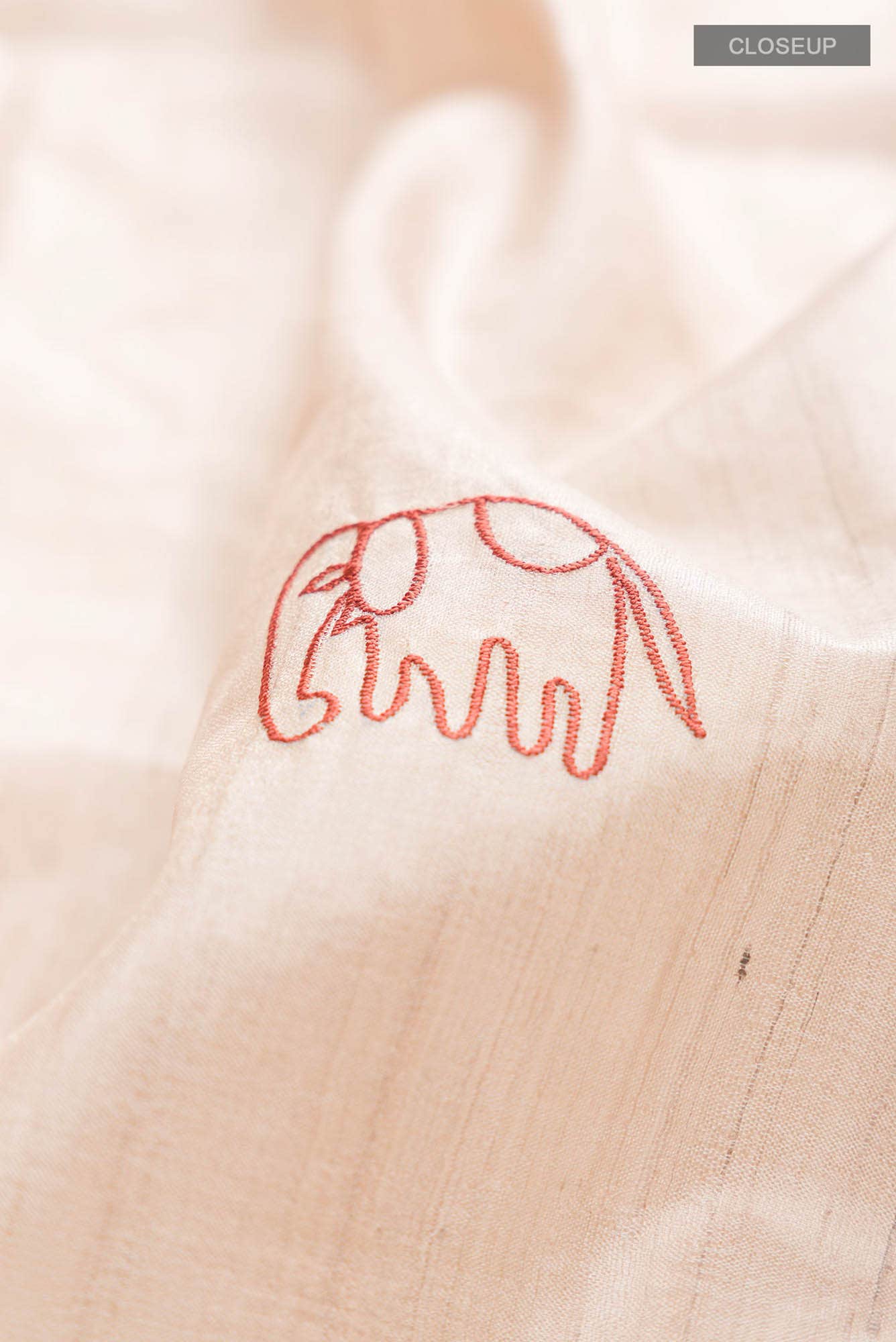 Beige Bhagalpuri Tussar Silk Saree