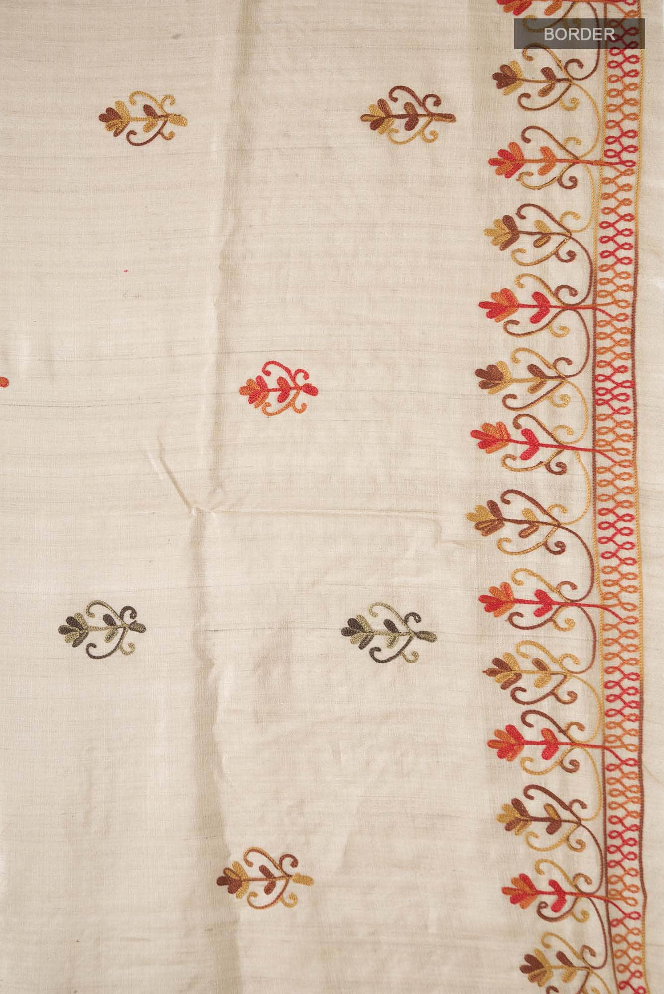 Beige Bhagalpuri Tussar Silk Saree