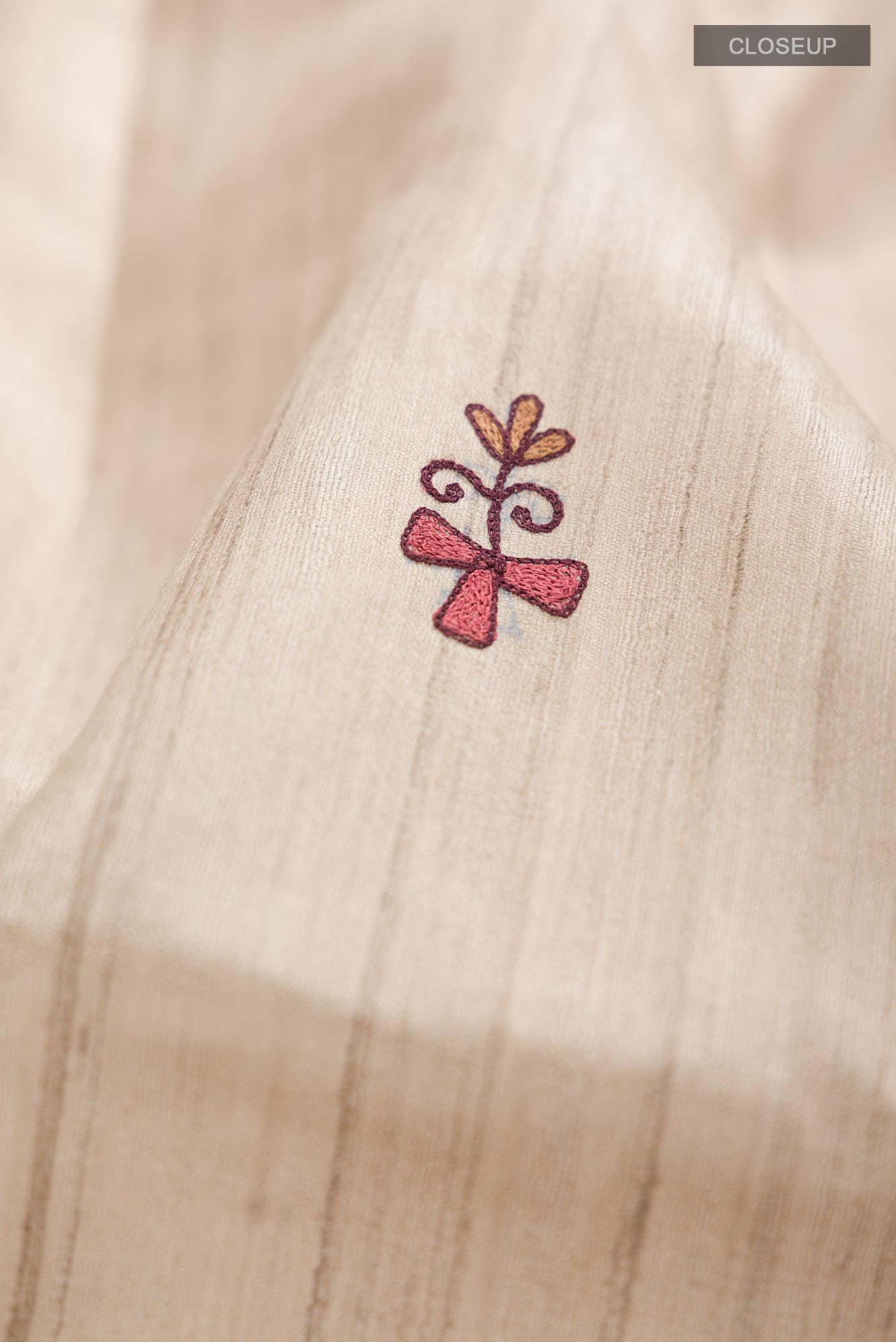 Beige Bhagalpuri Tussar Silk Saree