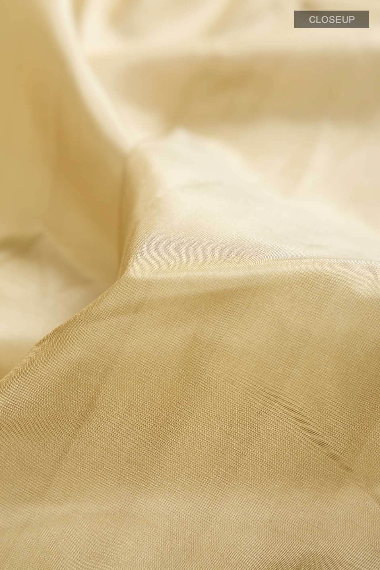 Beige Kanchipuram Silk Saree