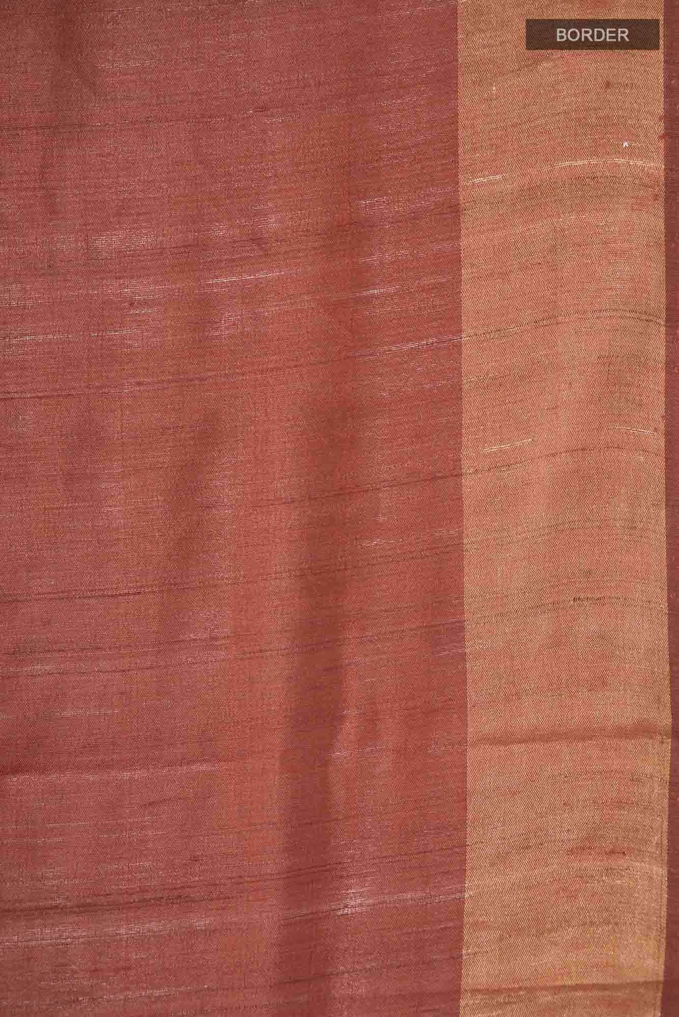 Rust Bhagalpuri Tussar Silk Saree