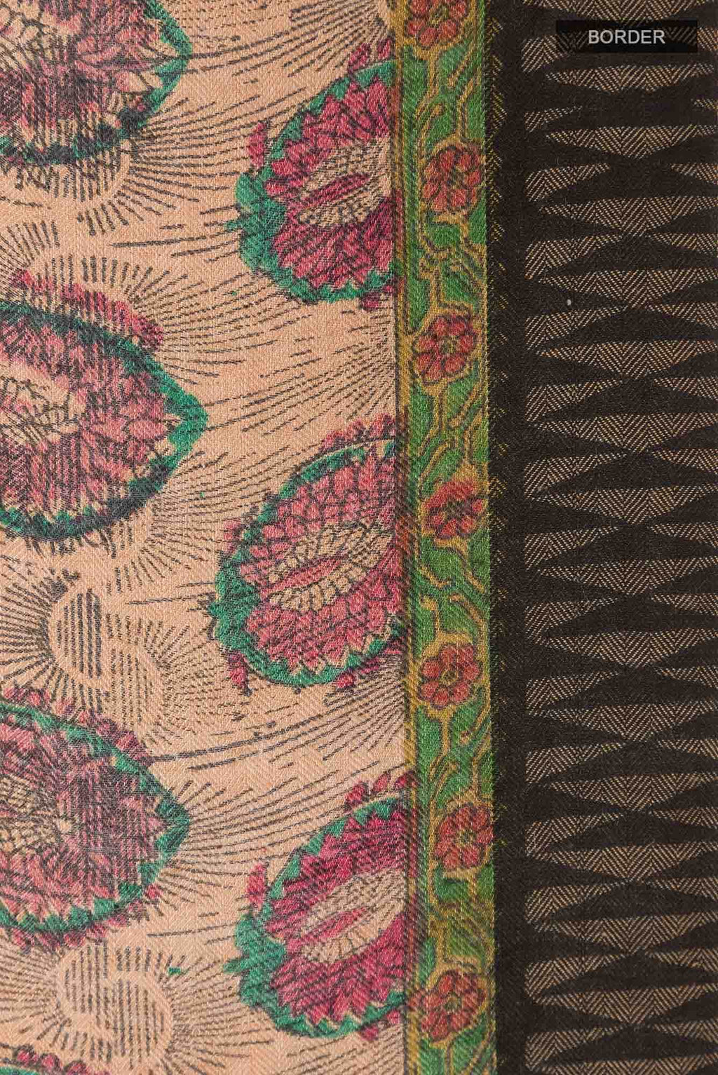 Dark Beige Tussar Saree