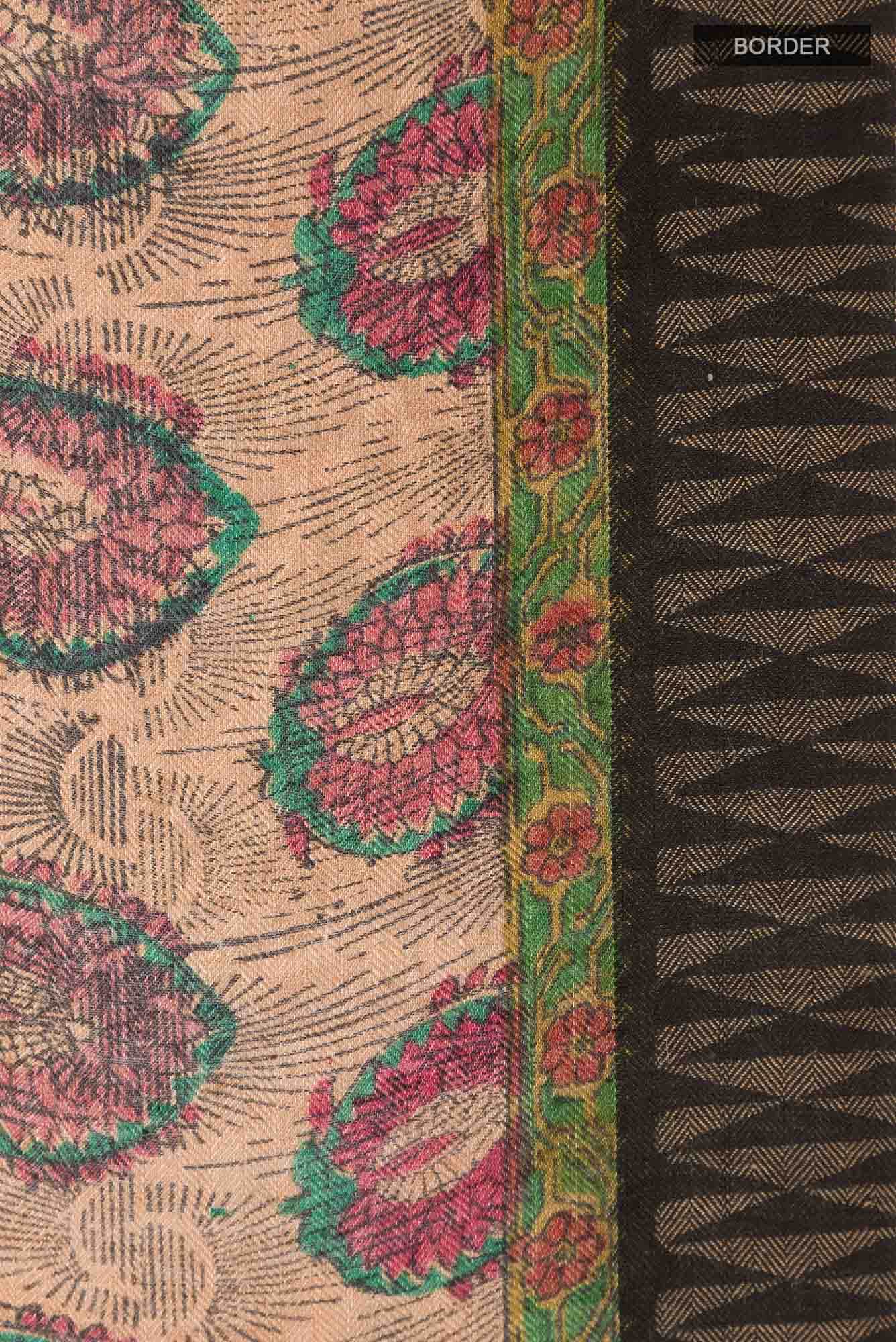 Dark Beige Tussar Saree