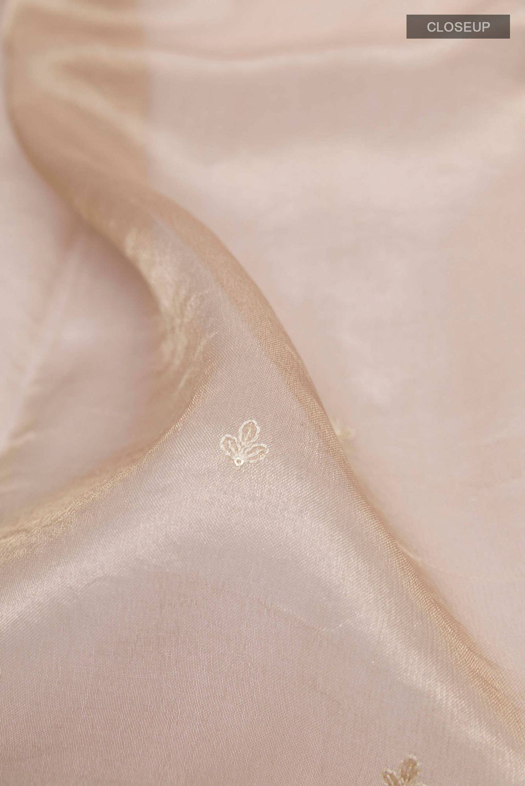 Beige Tissue Silk Saree