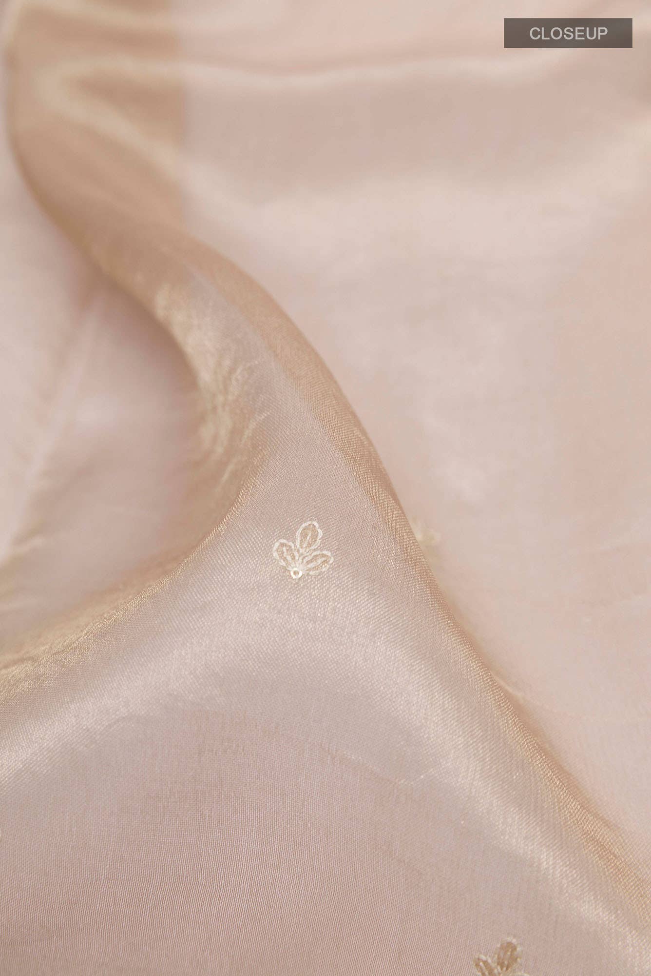 Beige Tissue Silk Saree