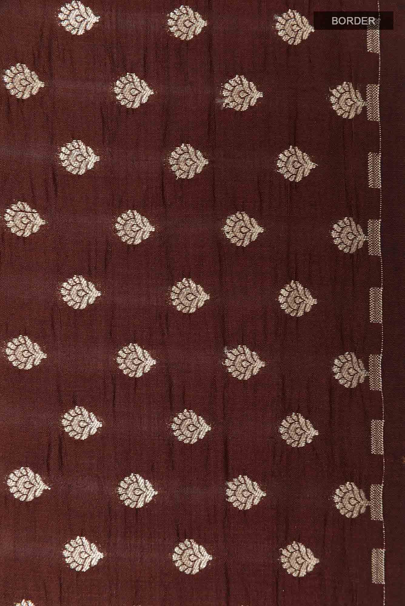 Brown Tussar Saree