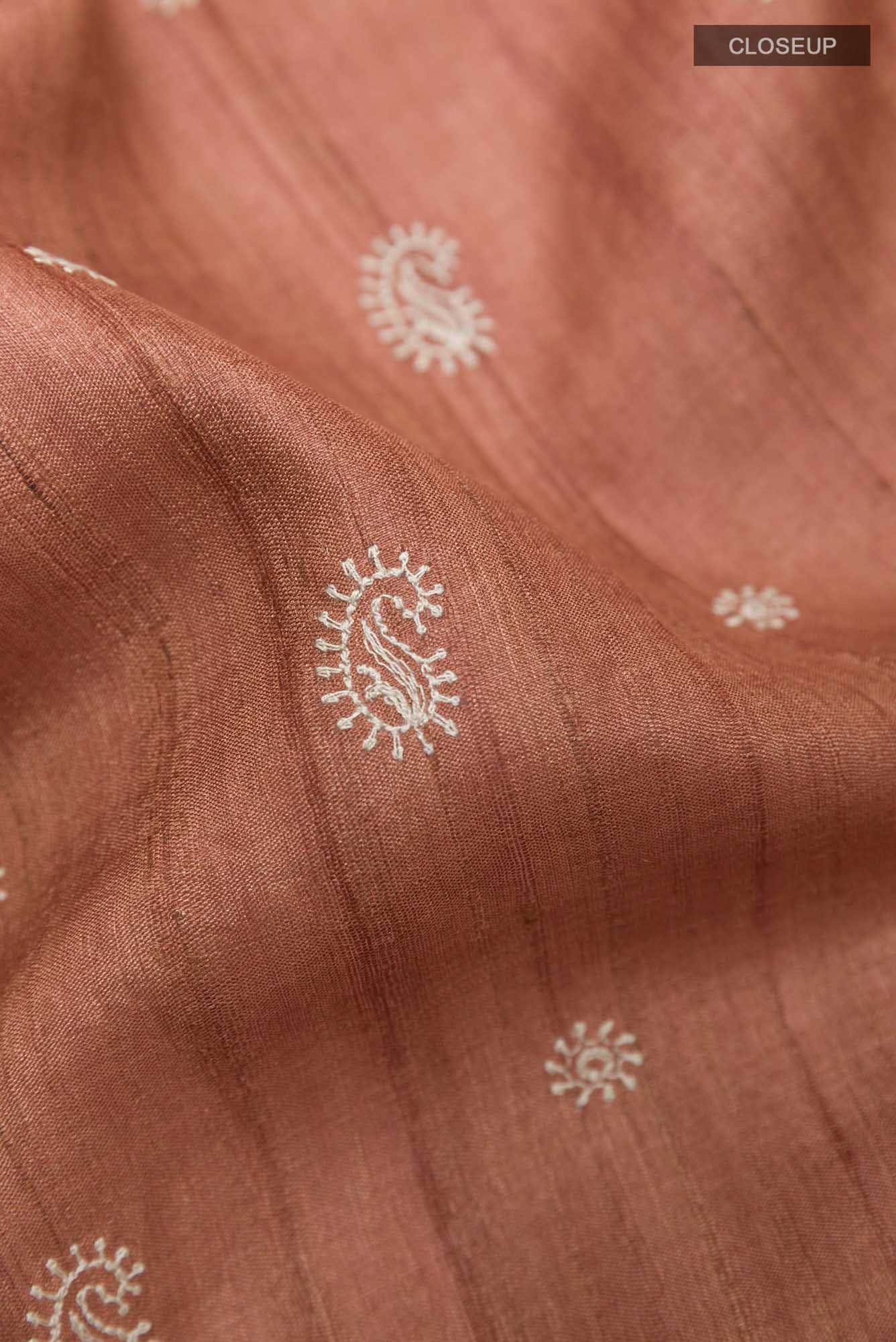 Rust Tussar Saree