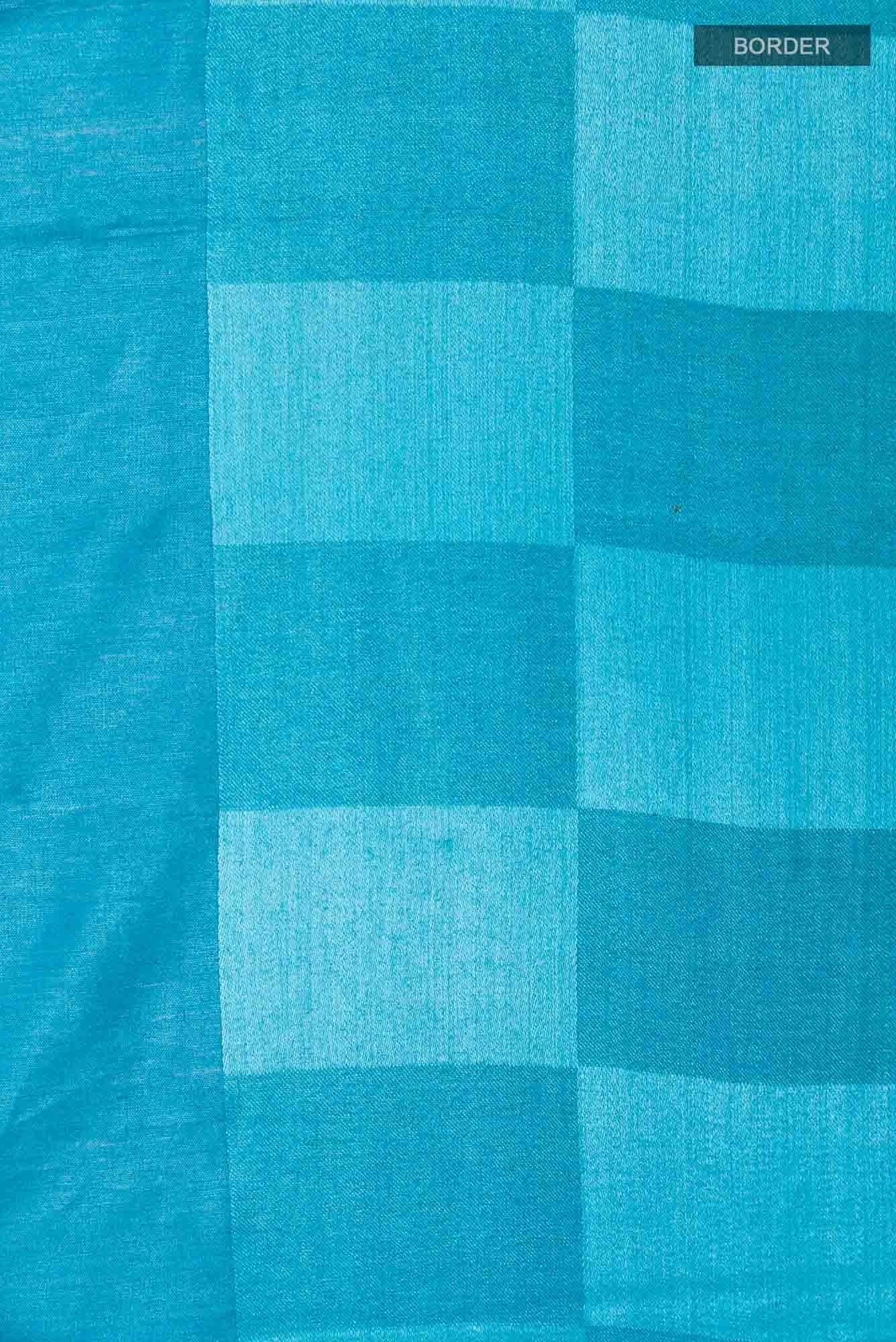 Blue Tussar Saree