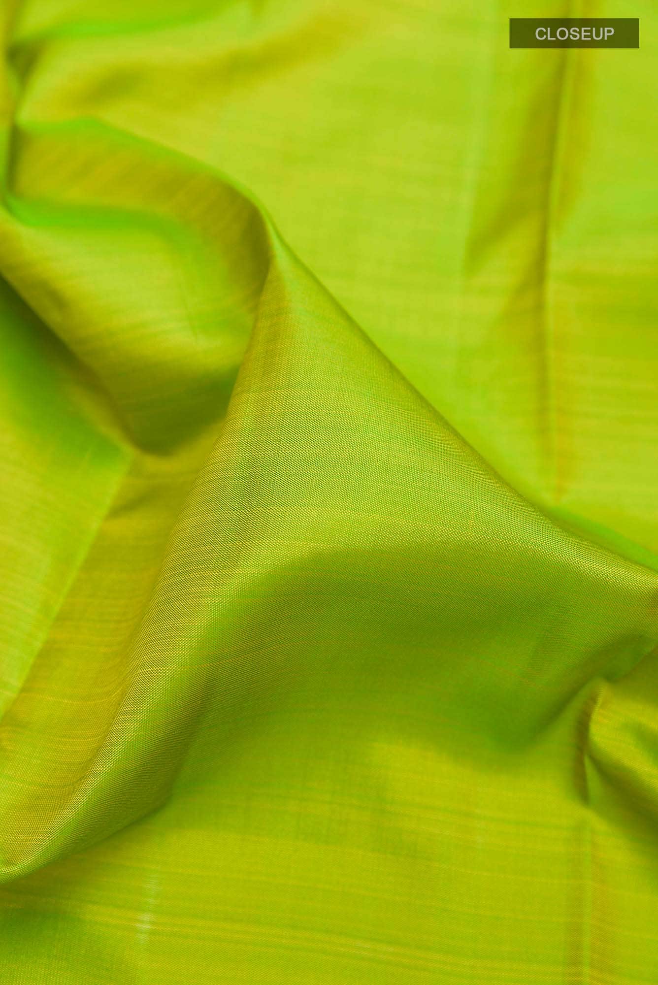 Parrot Green Dual Tone Kanchipuram Silk Saree