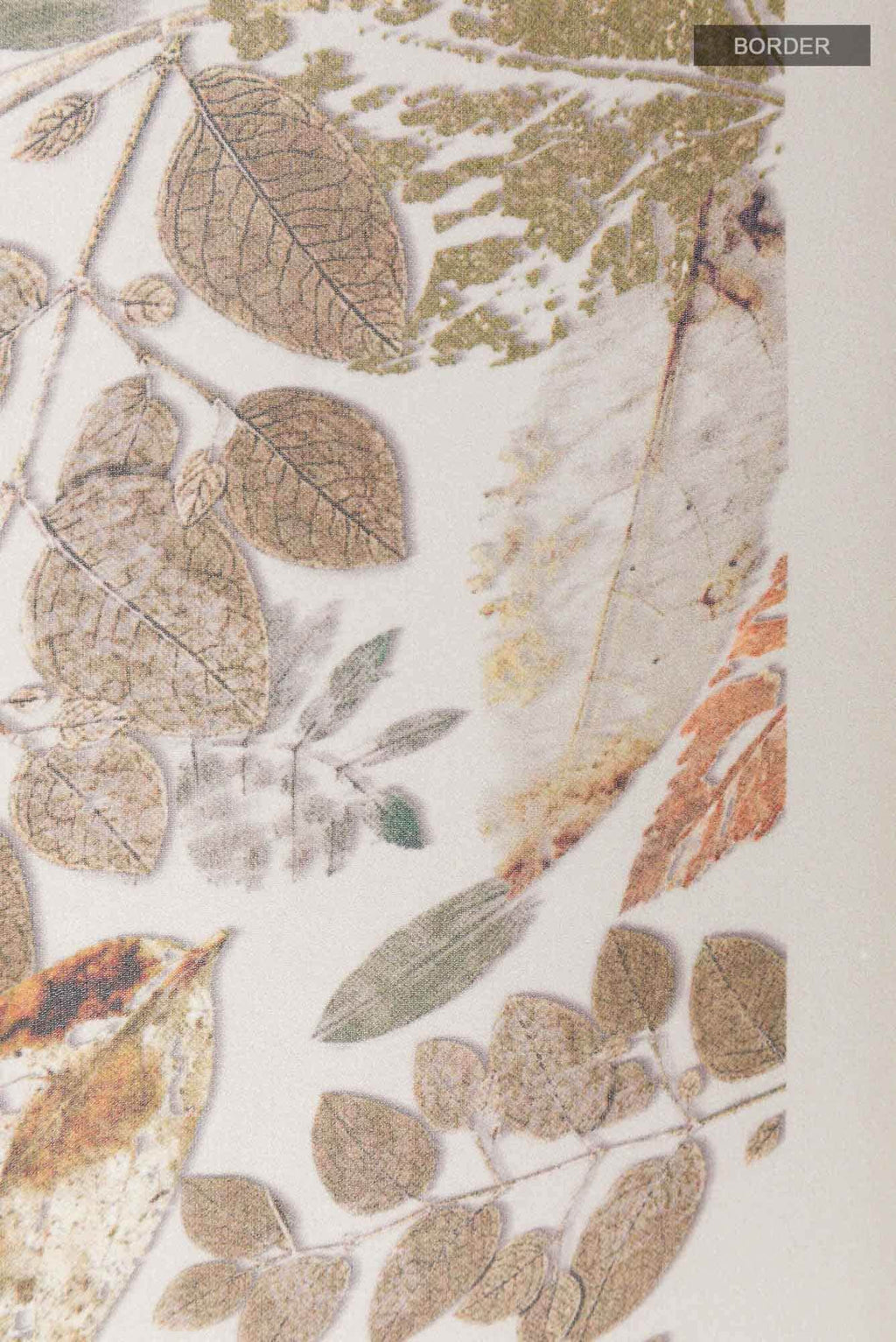 Off White Georgette Saree