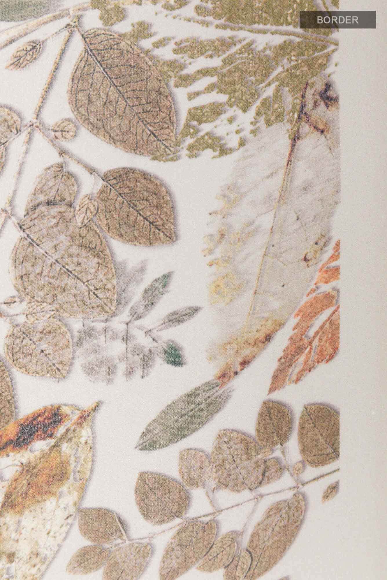 Off White Georgette Saree