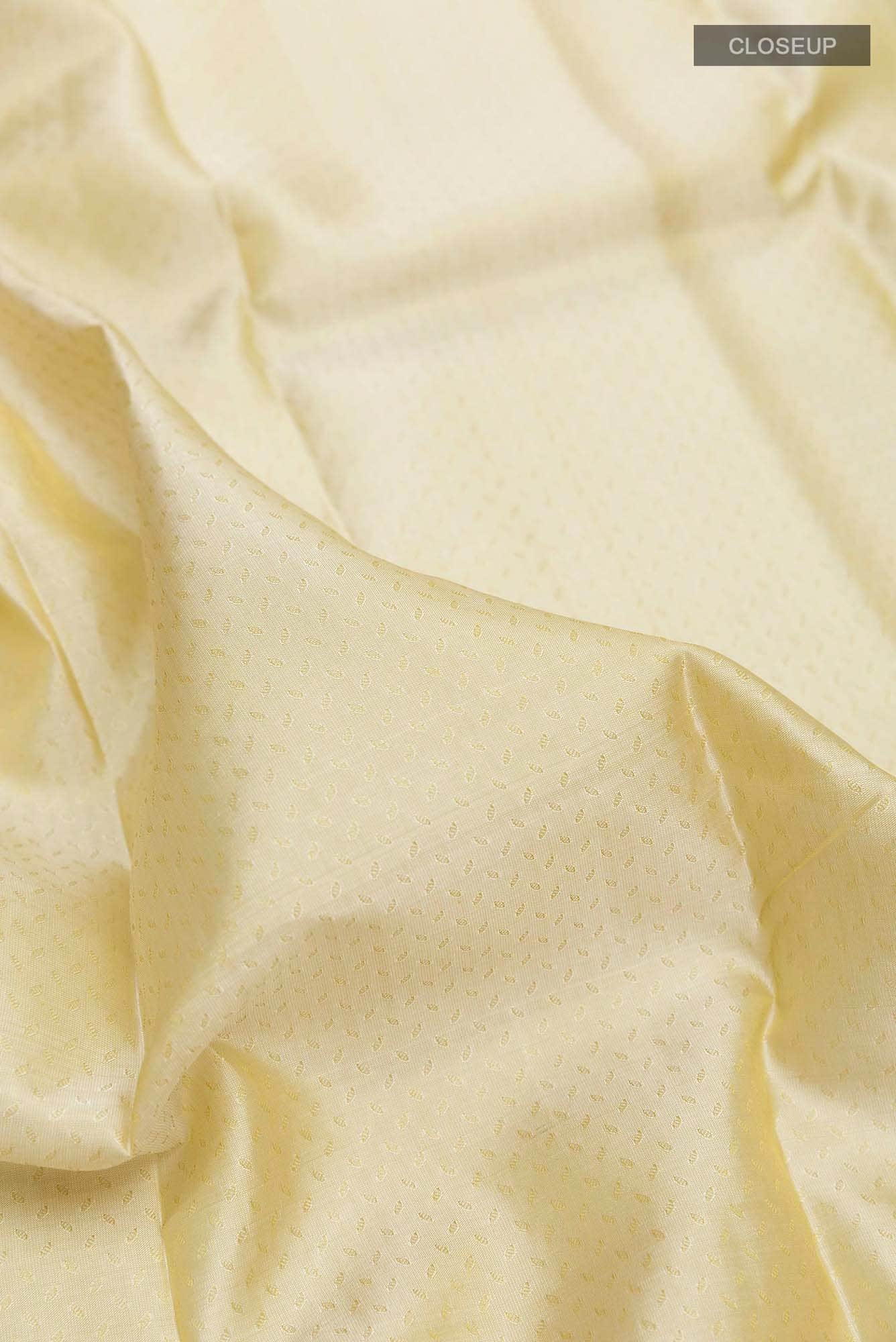 Beige Kanchipuram Silk Saree