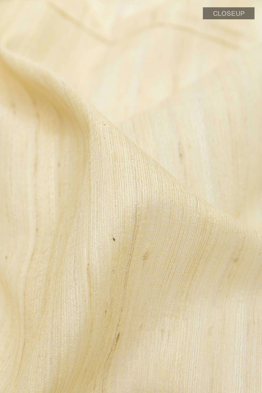 Beige Tussar Silk Saree