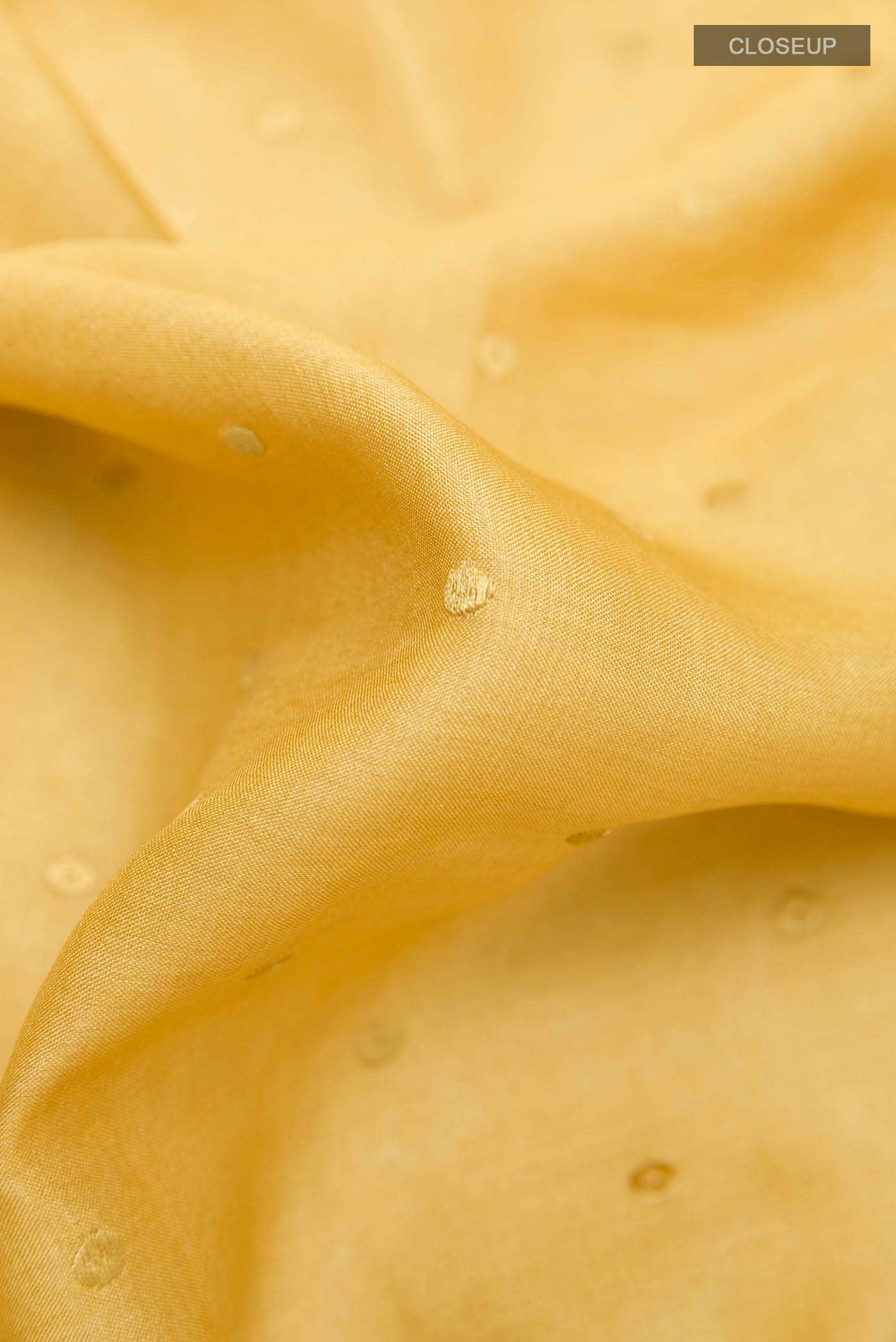 Mustard Tussar Saree
