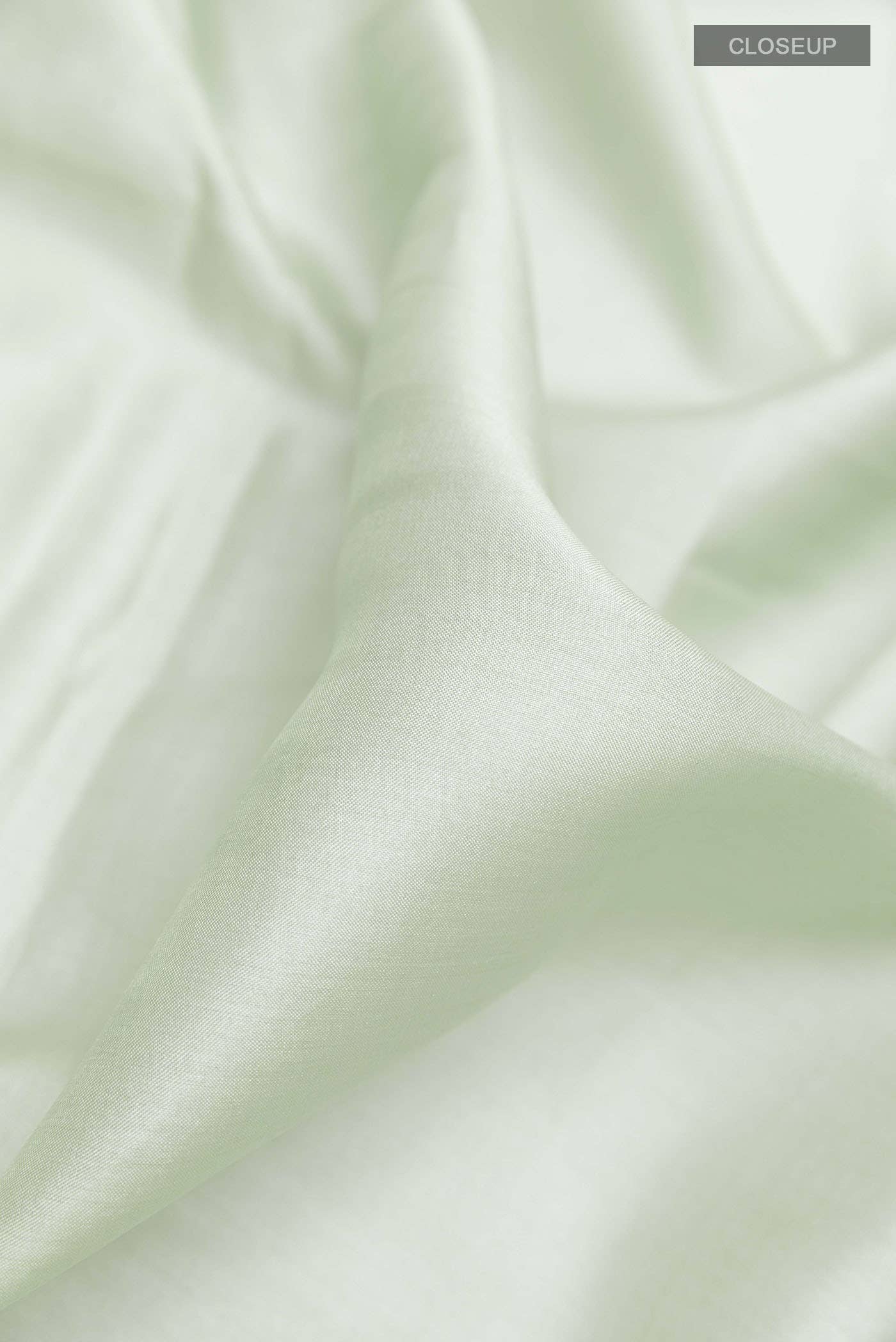 Mint Green Tussar Saree