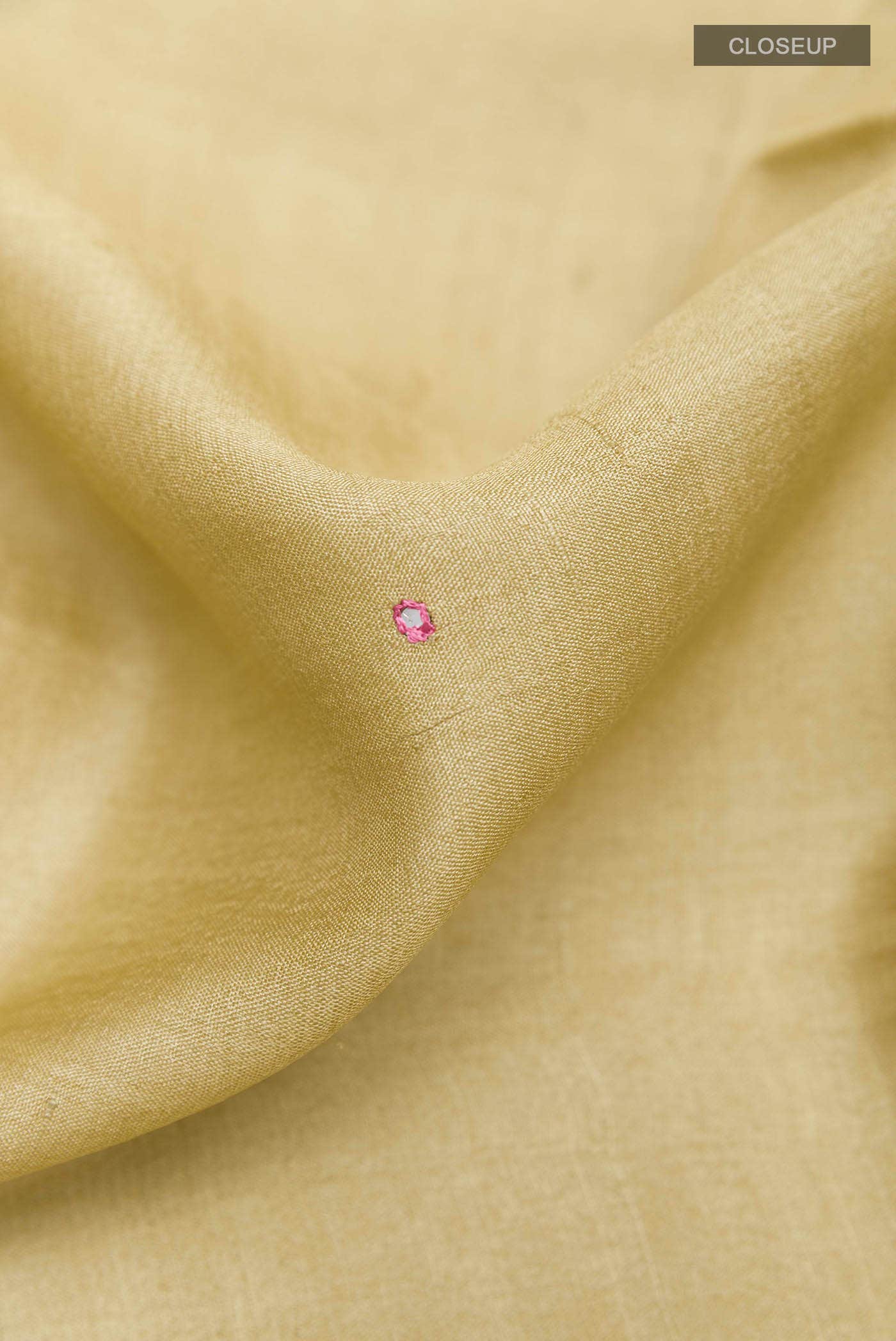 Beige Tussar Saree
