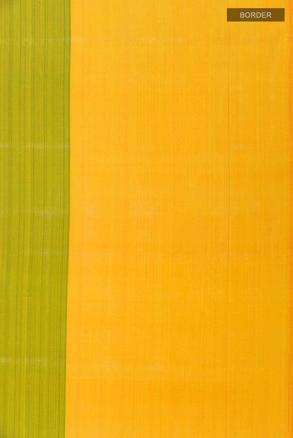 Green Dual Tone Kanchipuram Silk Saree