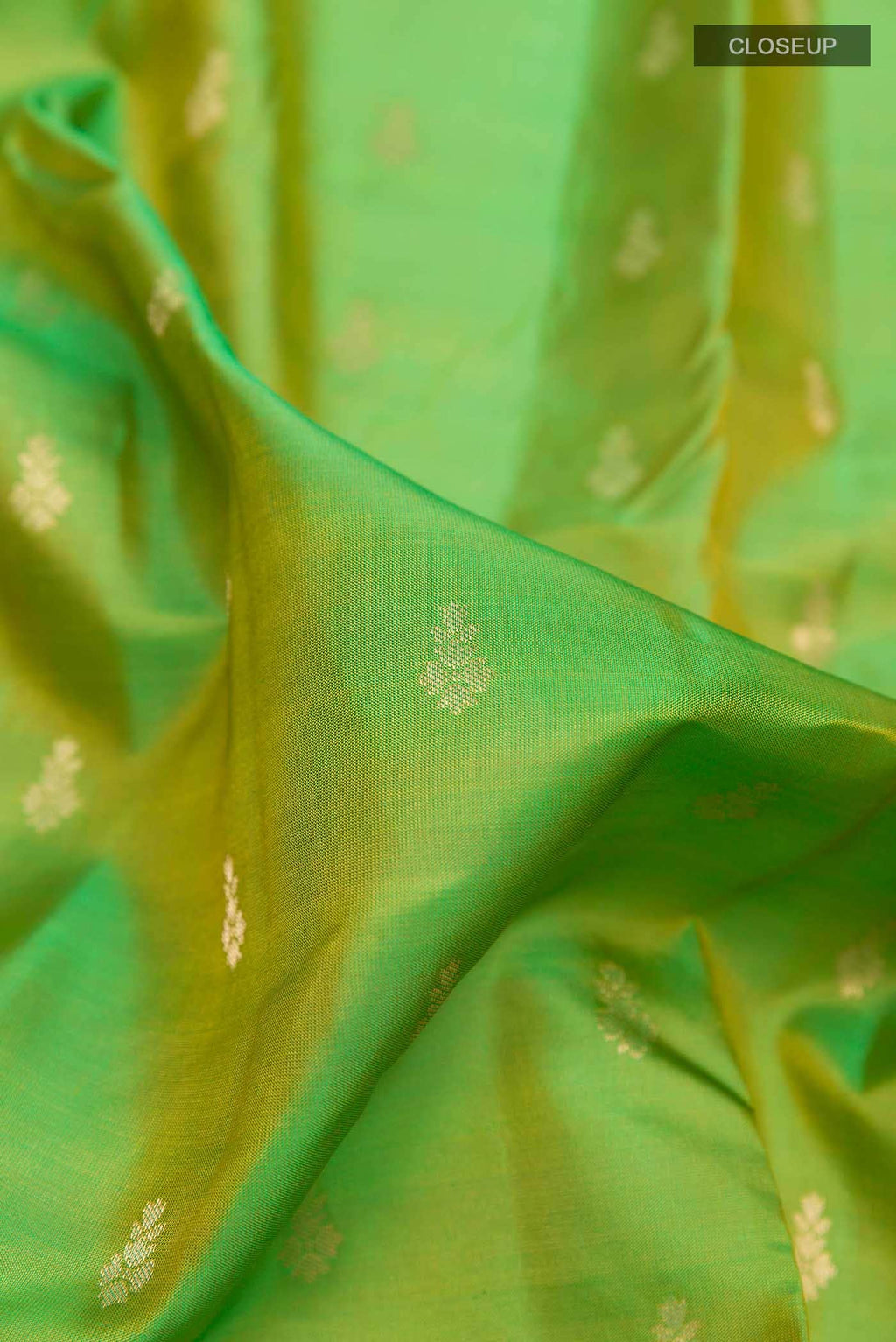 Parrot Green Dual Tone Kanchipuram Silk Saree
