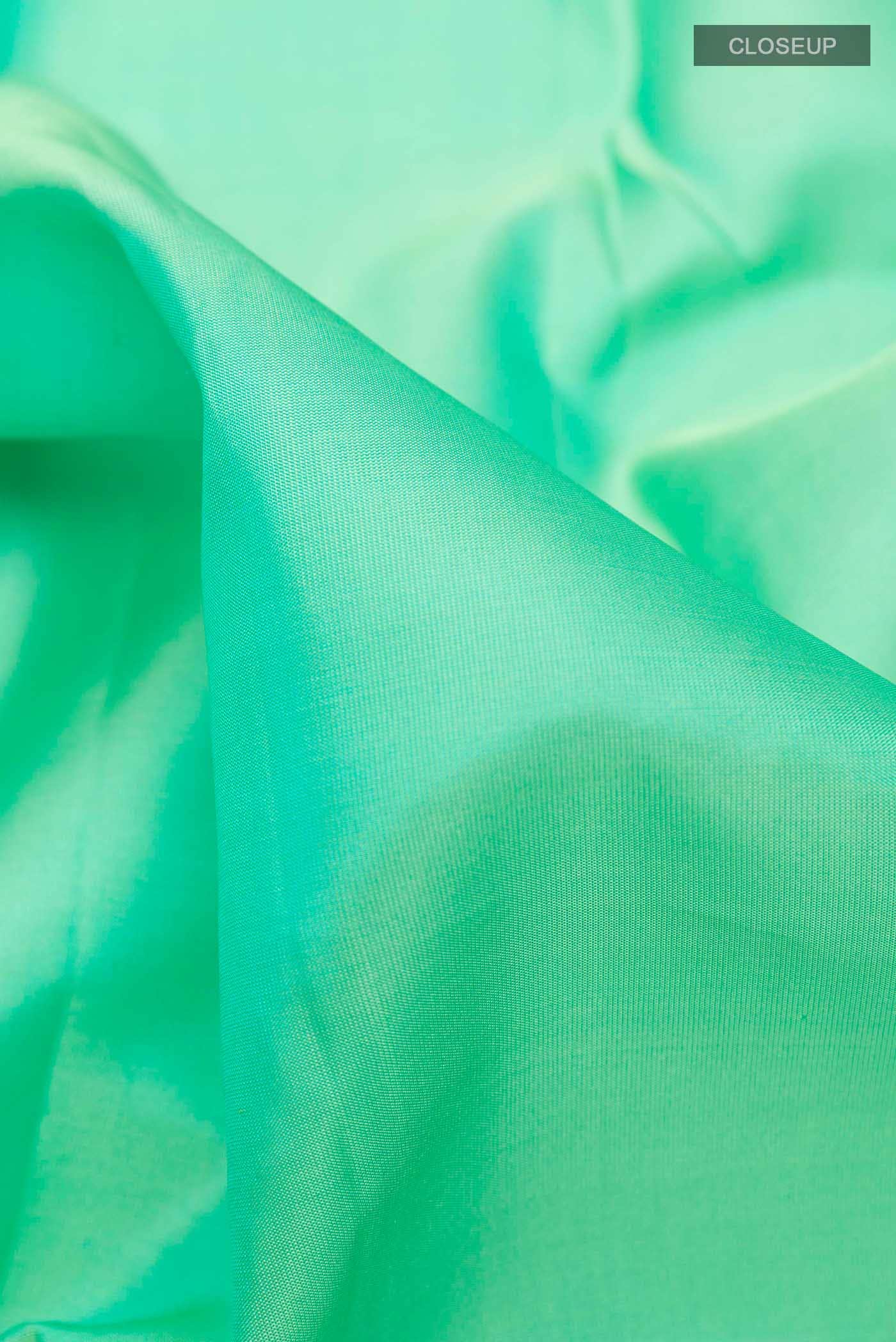 Sea Green Dual Tone Kanchipuram Silk Saree