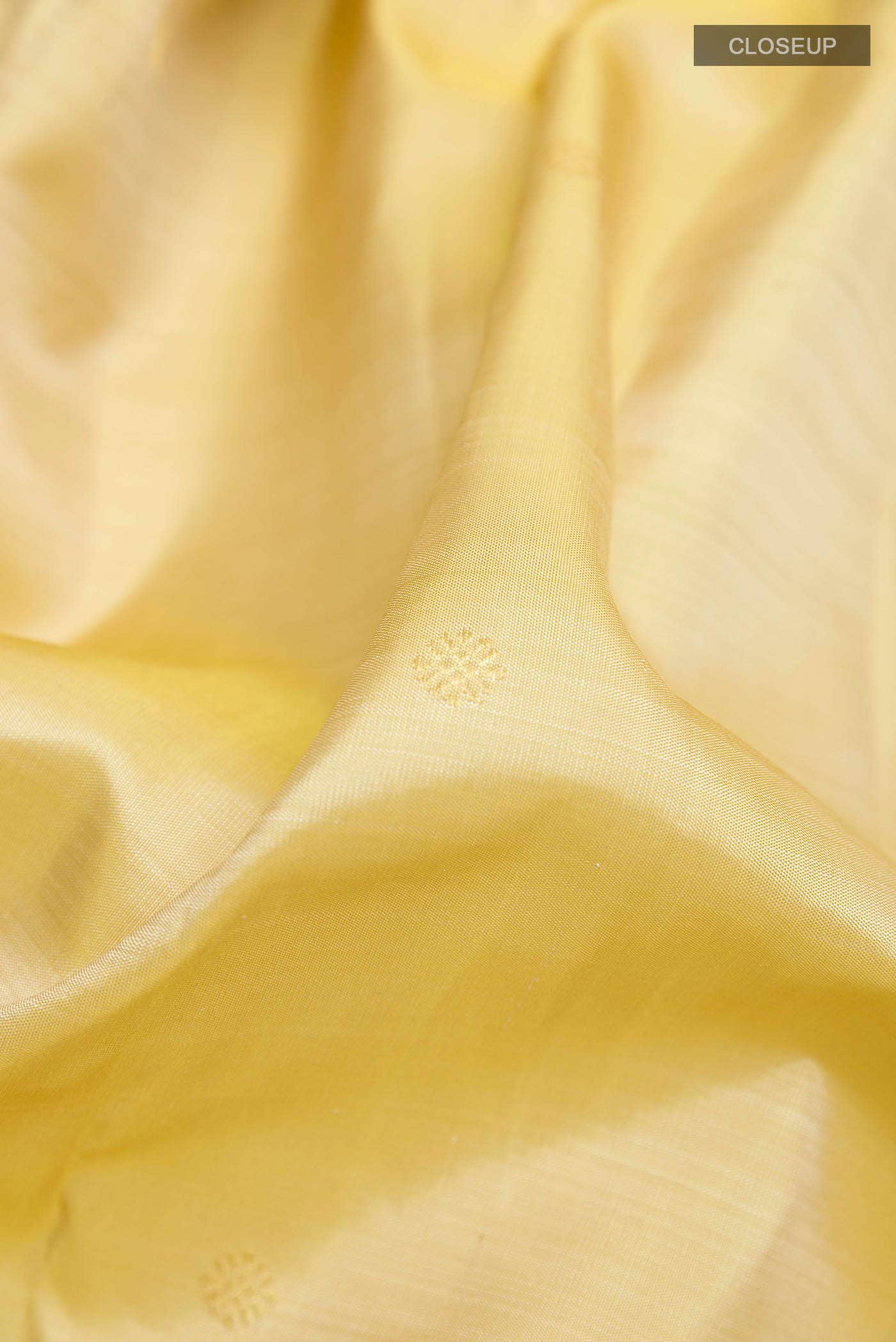 Beige Kanchipuram Silk Saree