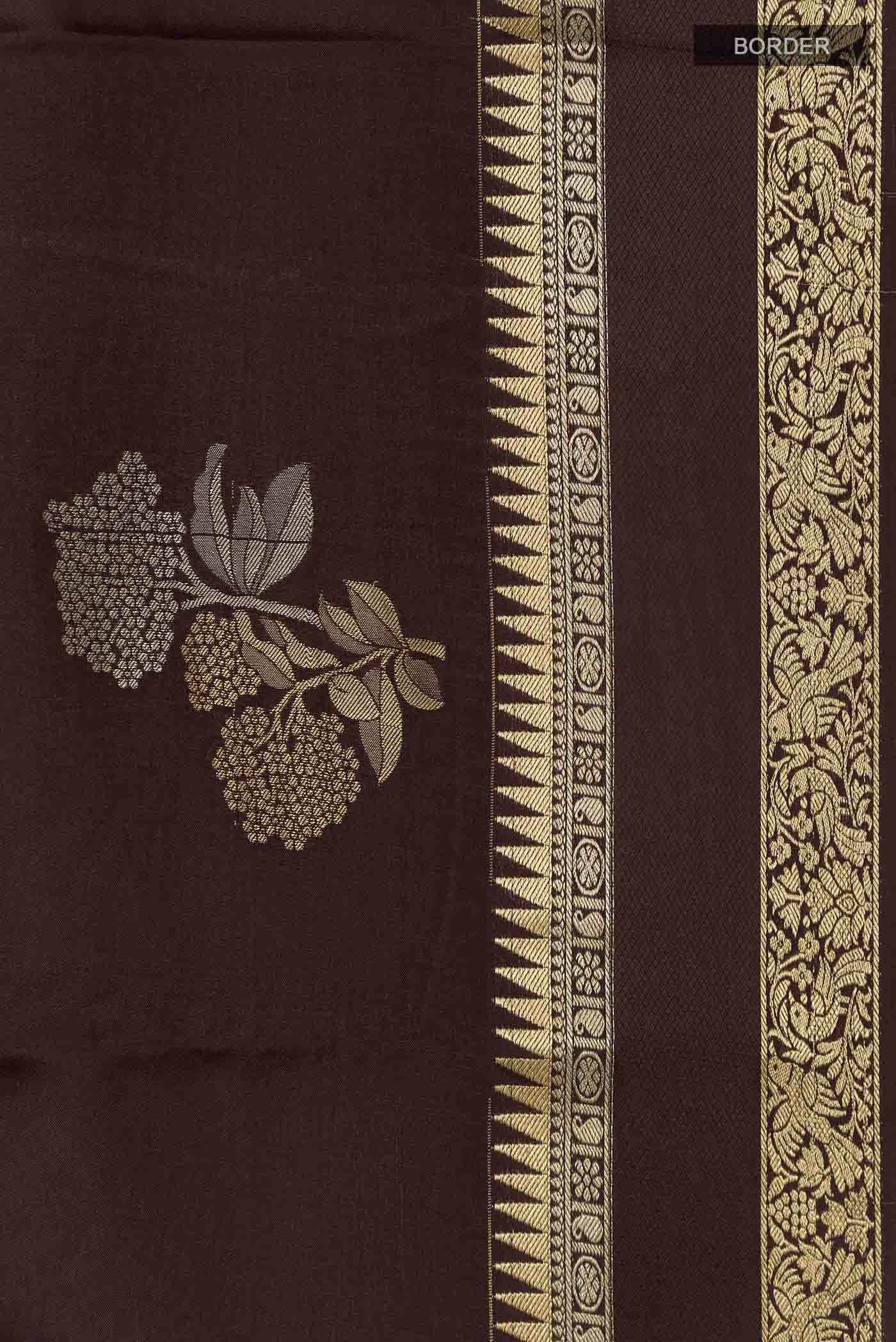 Brown Mysore Crepe Saree