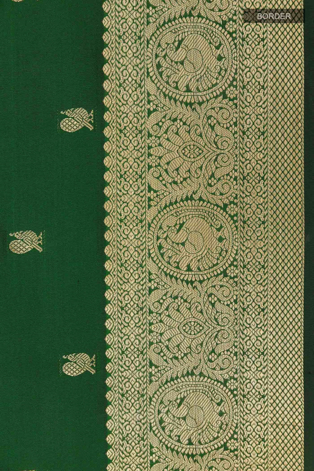 Green Kanchipuram Silk Nine Yards Saree