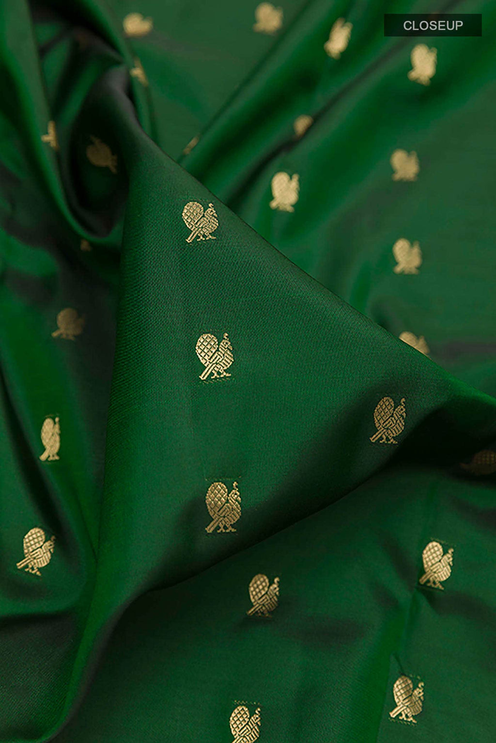 Green Kanchipuram Silk Nine Yards Saree