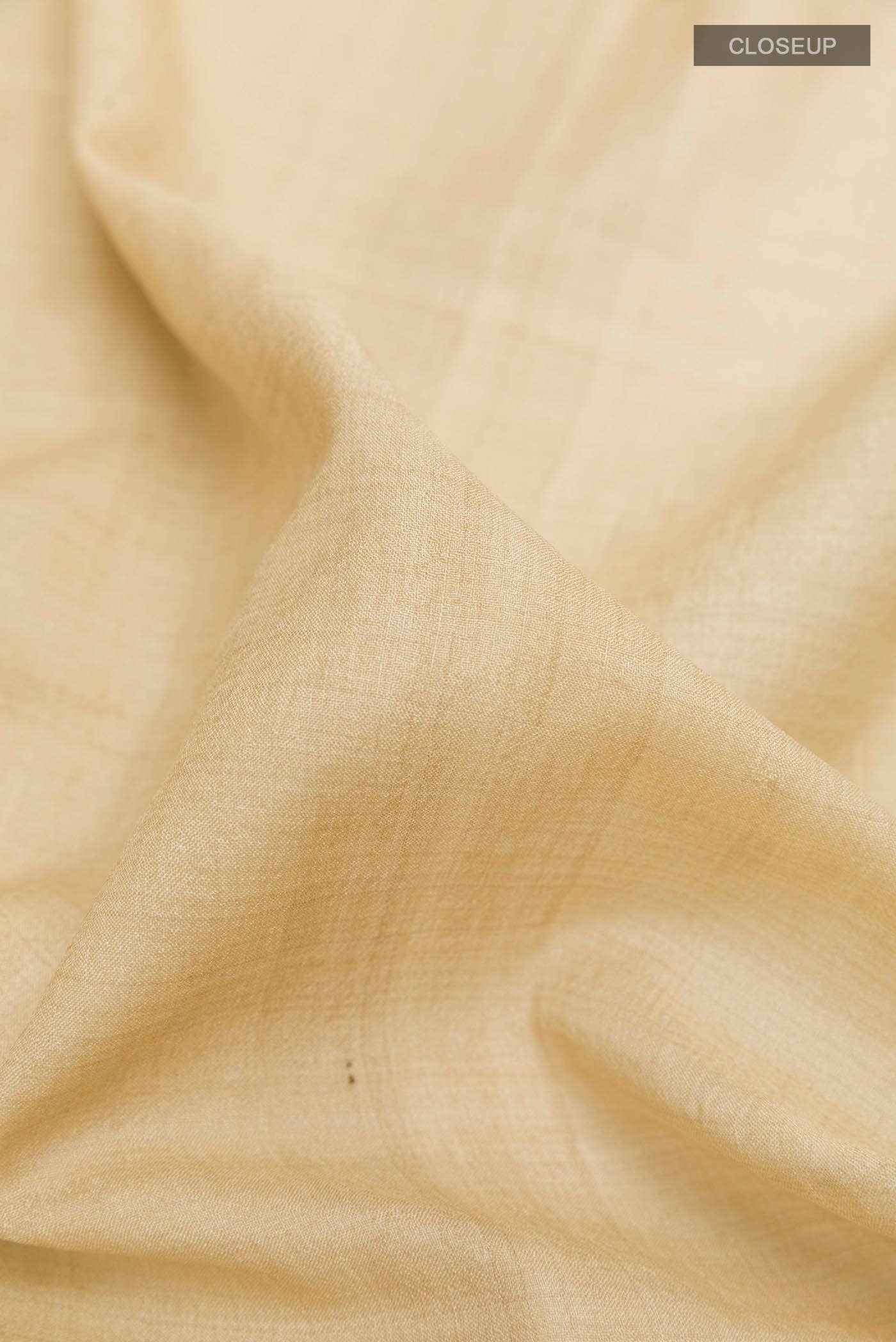Beige Tussar Saree