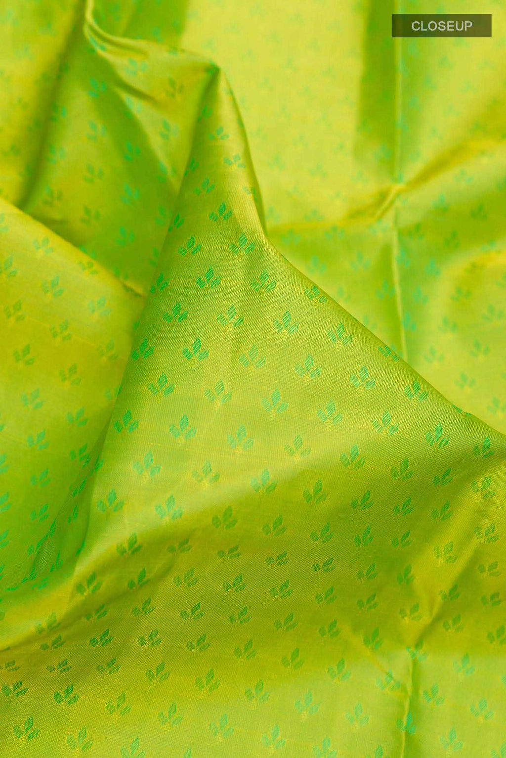 Green Dual Tone Kanchipuram Silk Saree