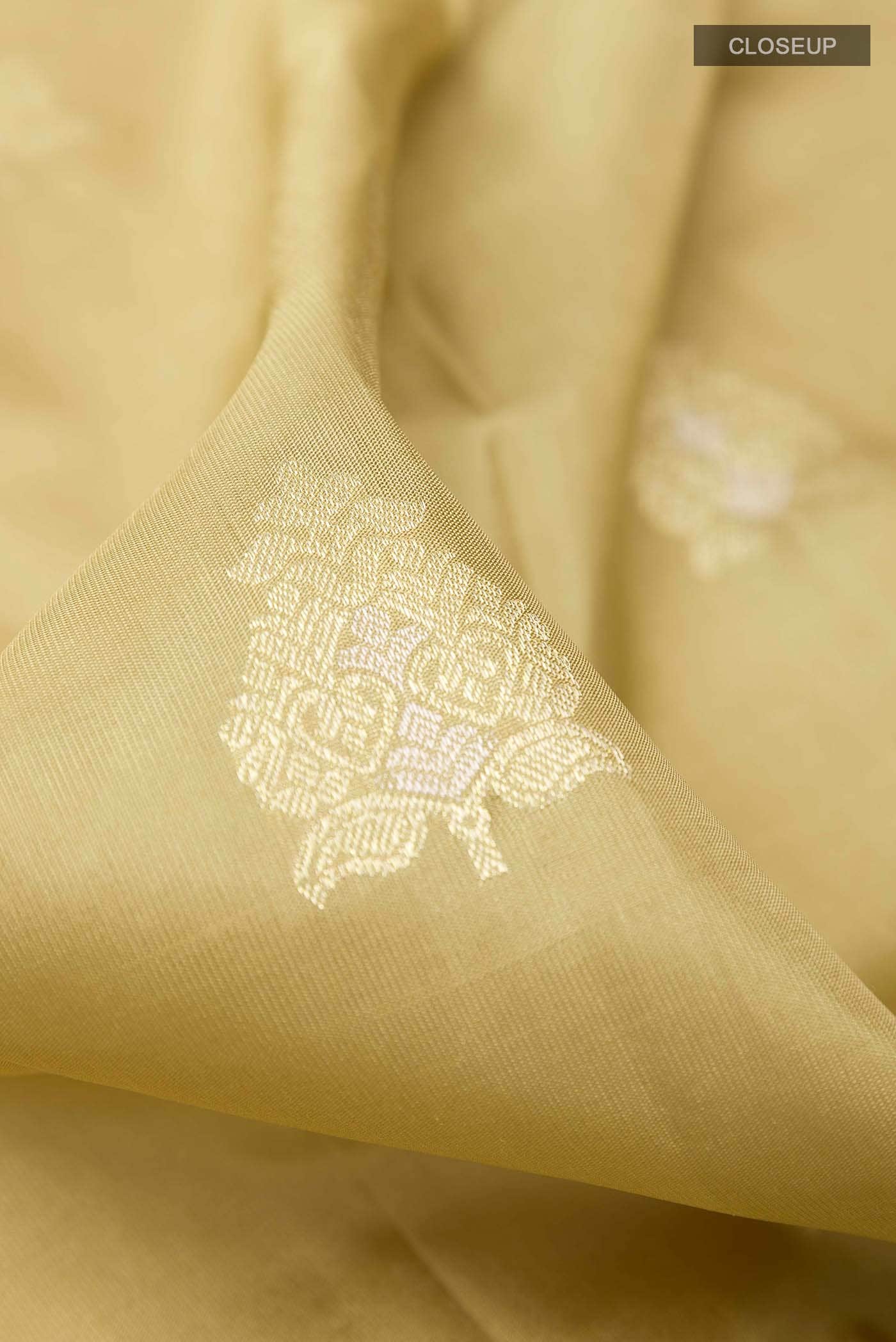Beige Kanchipuram Silk Saree
