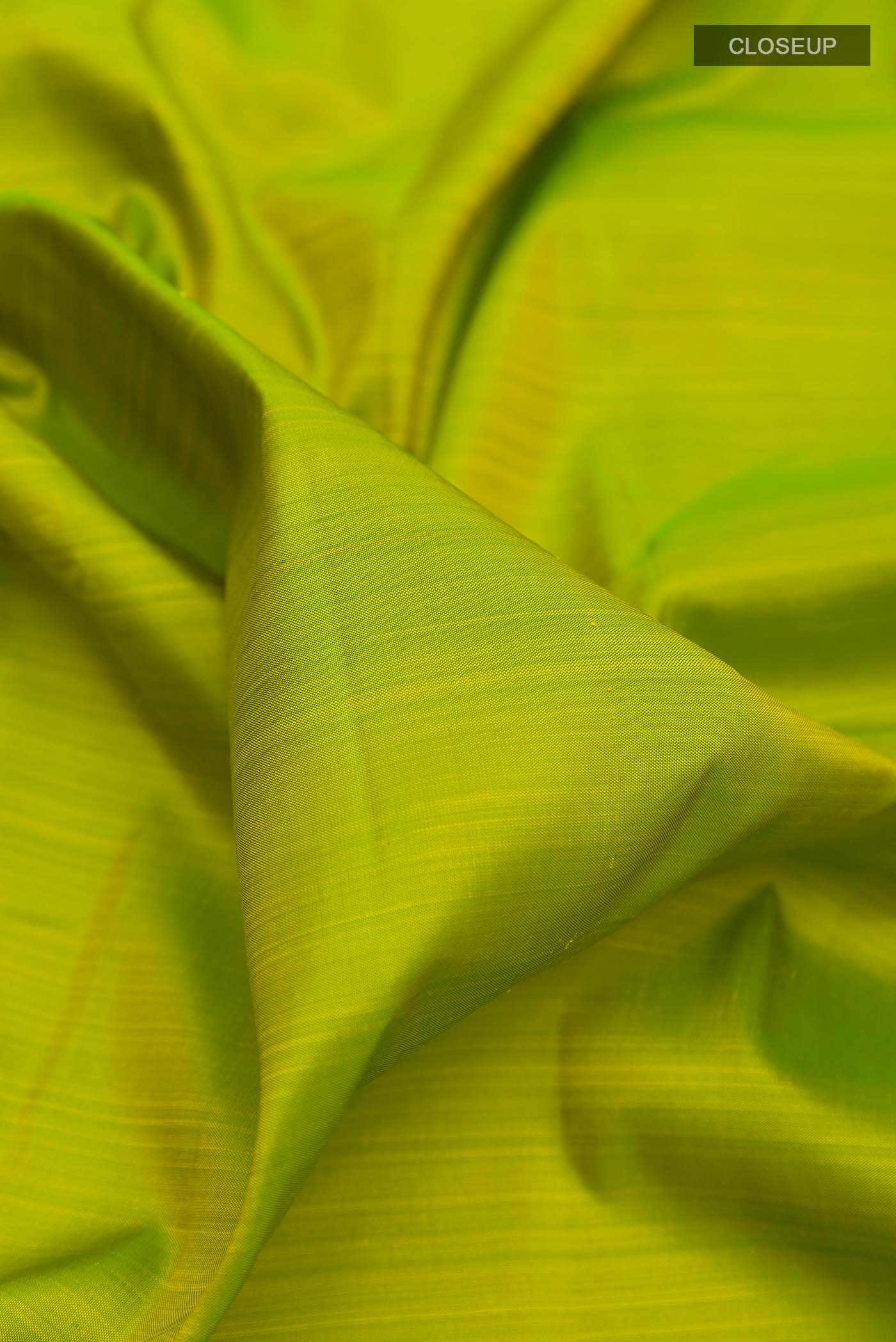 Parrot Green Kanchipuram Silk Nine Yards Saree