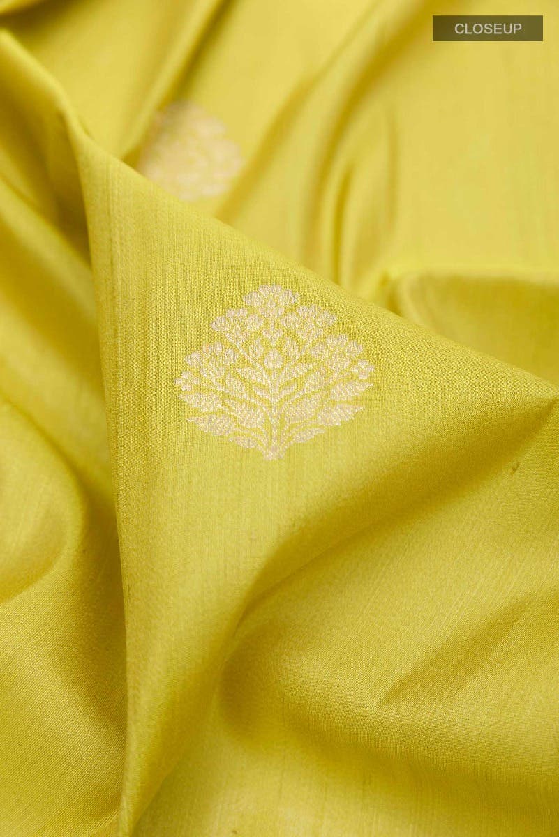 Parrot Green Banarasi Tussar Silk Saree