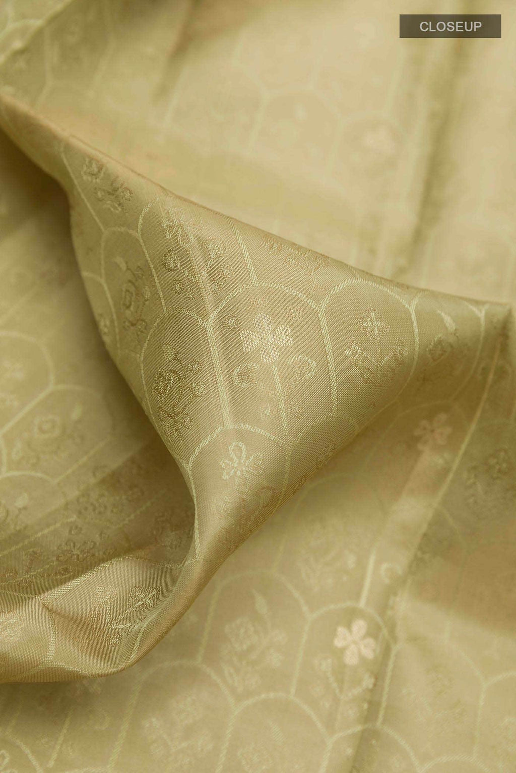 Dark Beige Kanchipuram Silk Saree