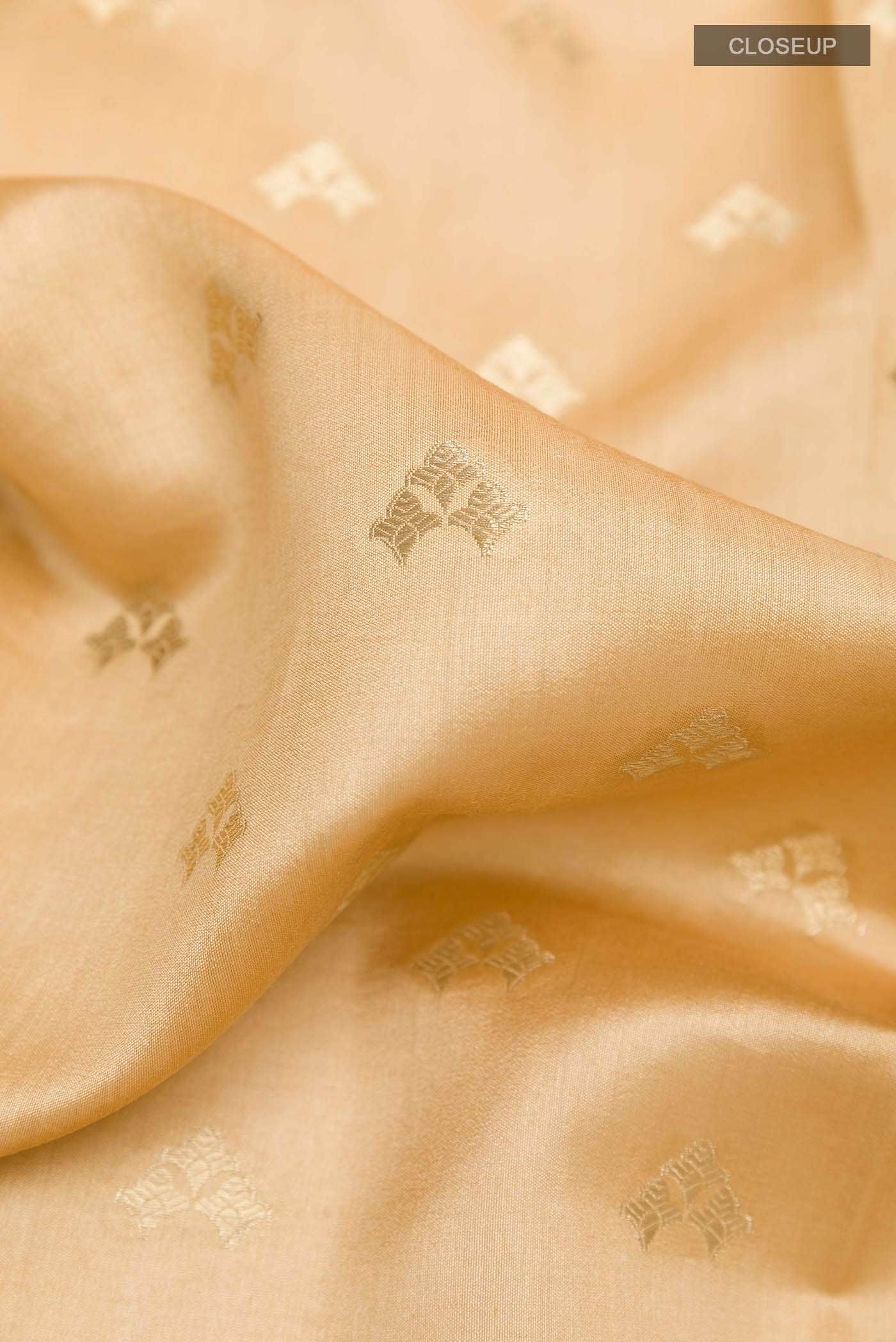 Beige Tussar Silk Saree