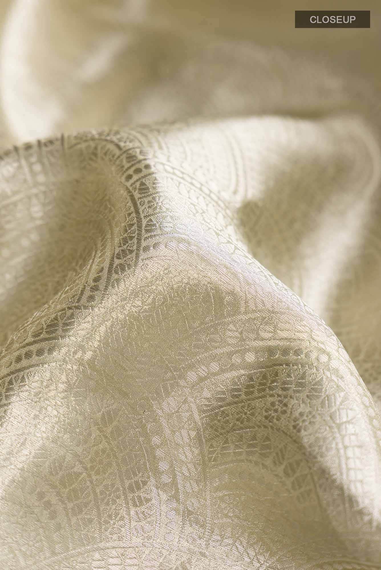 Multi Banarasi Tissue Silk Saree