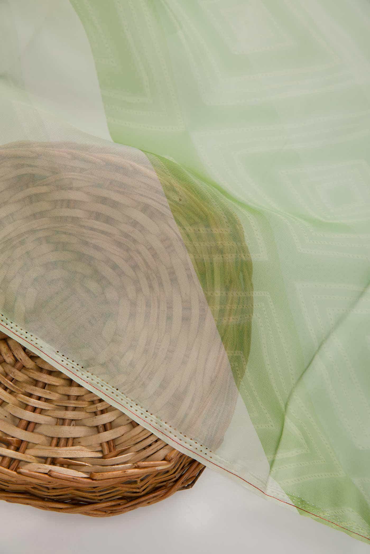 Green Organza Silk Dress Material