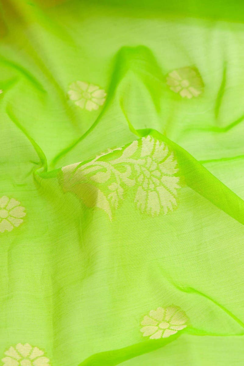 Parrot Green Dual Tone Silk Cotton Saree