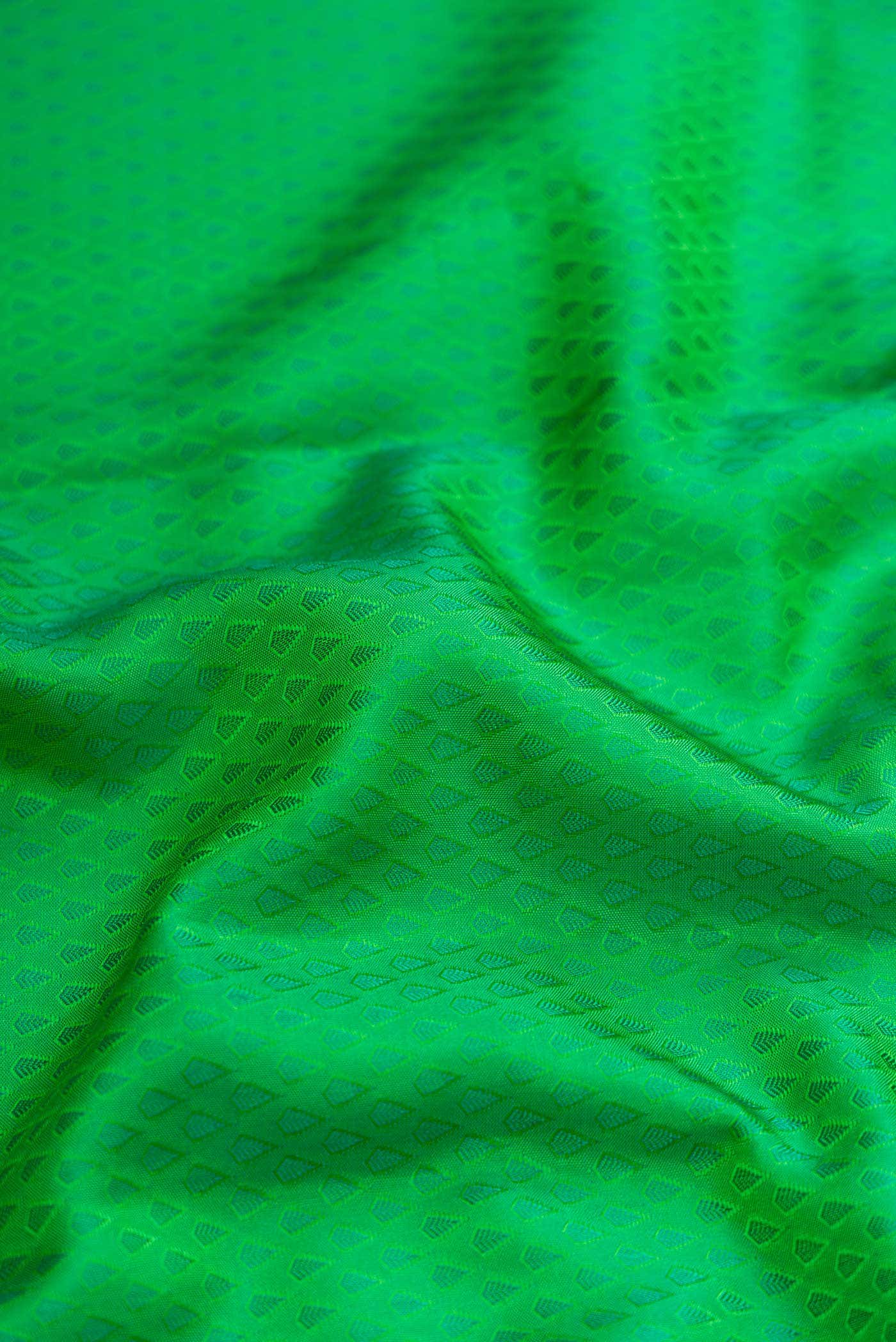 Green Dual Tone Kanchipuram Silk Saree