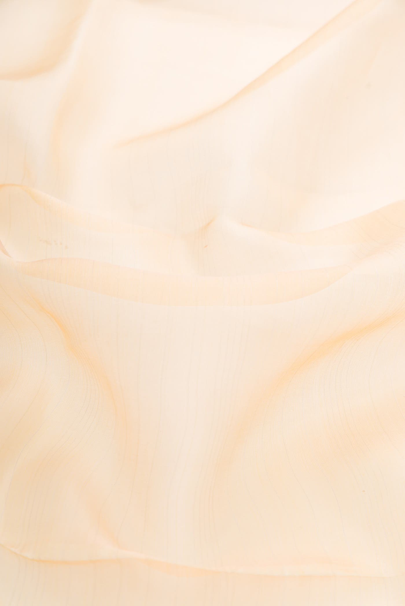 Sandal Organza Silk Saree