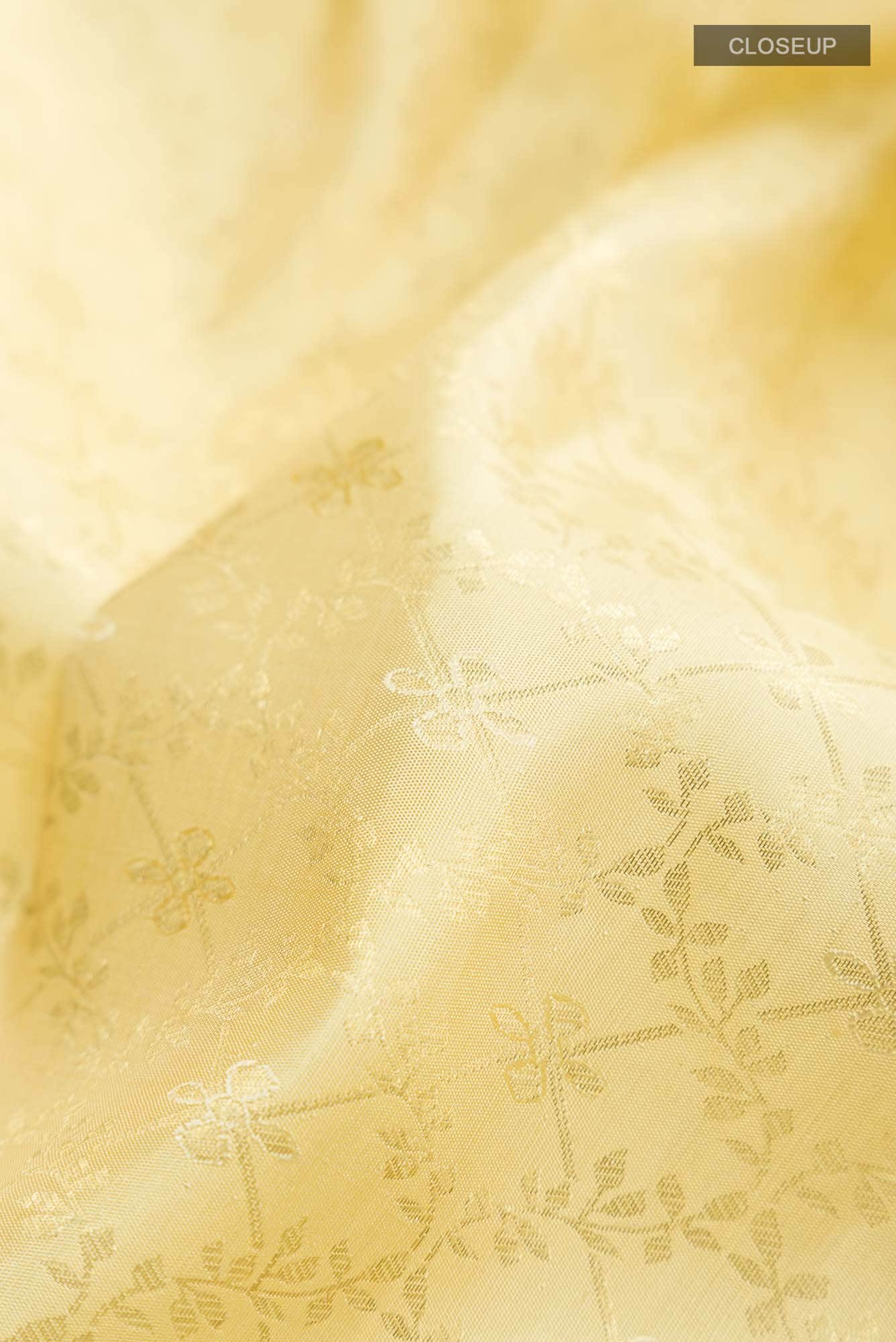 Cream Kanchipuram Silk Saree
