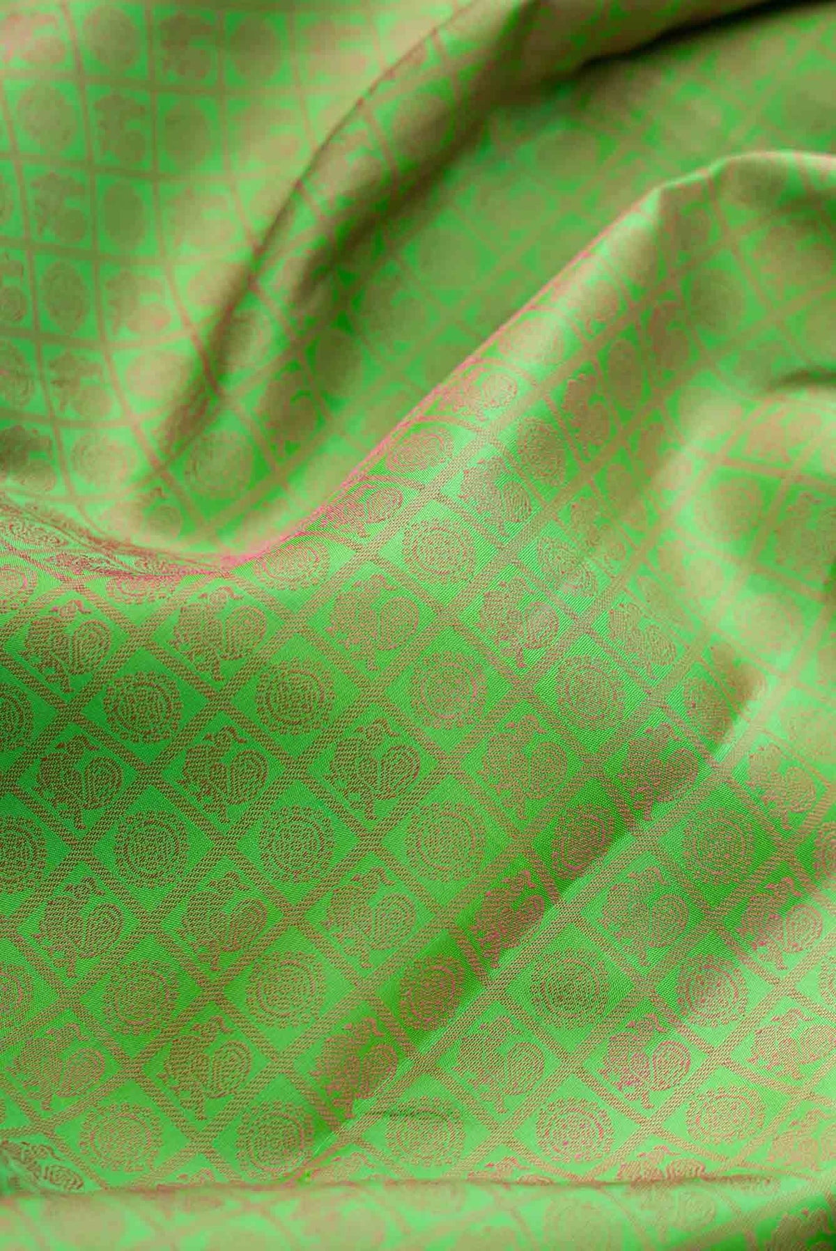Parrot Green Dual Tone Kanjivaram Silk Saree
