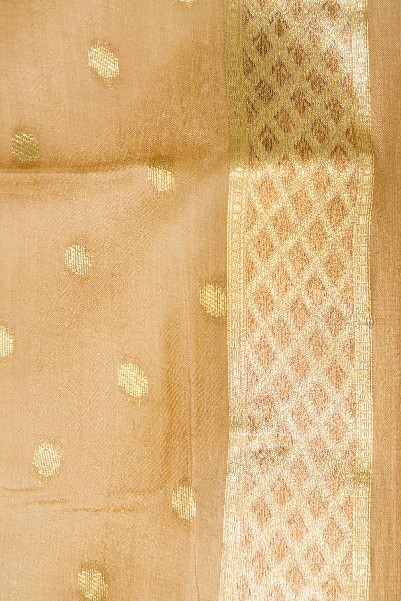 Dark Beige Dual Tone Tussar Silk Saree