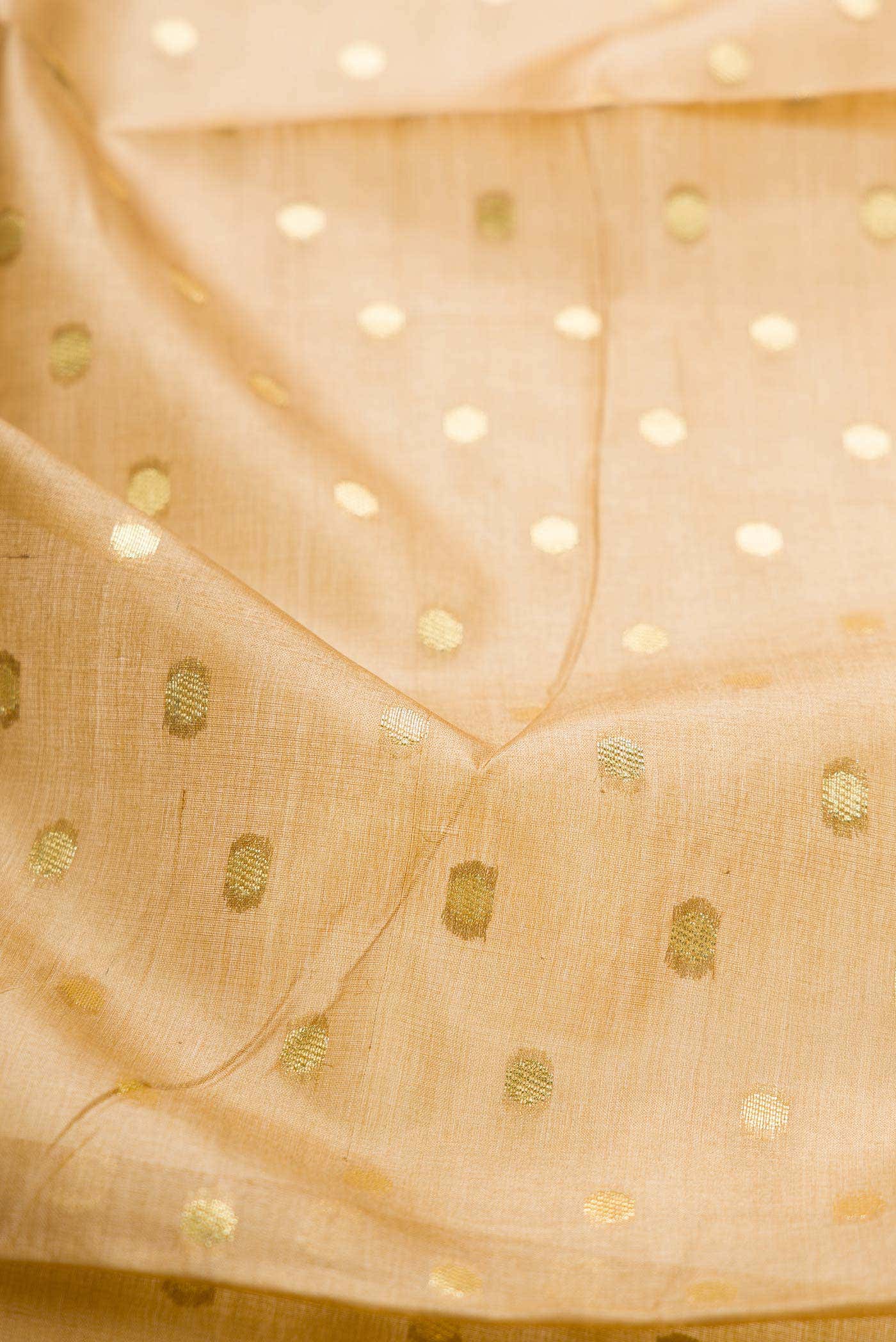 Dark Beige Dual Tone Tussar Silk Saree