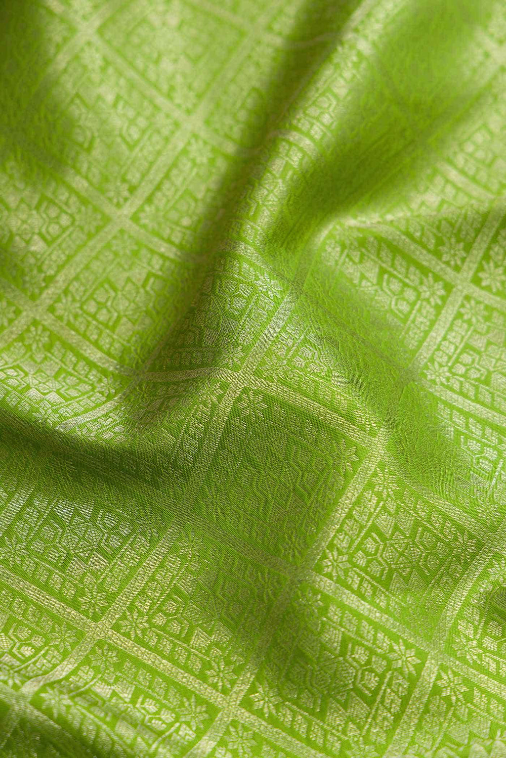 Green Dual Tone Kanchipuram Silk Saree