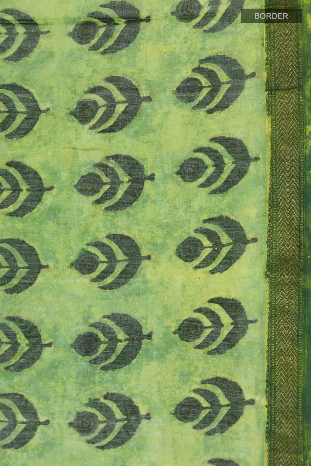 Green Chanderi Silk Cotton Saree