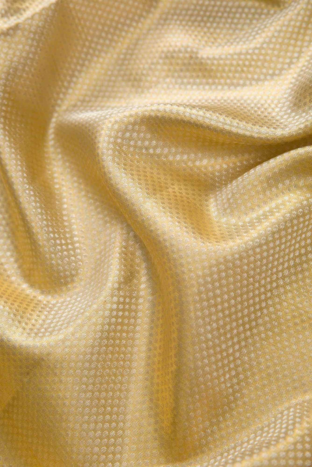 Gold Kanchipuram Tissue Silk Saree