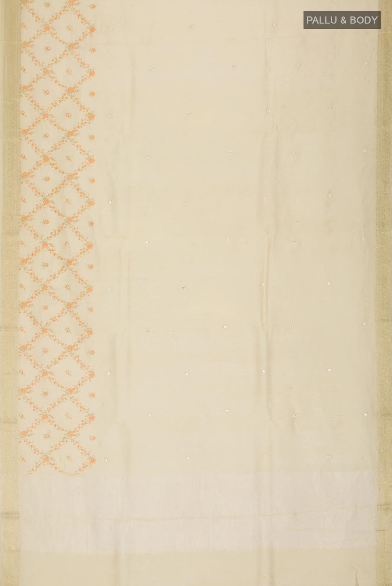 Beige Bhagalpuri Tussar Silk Saree