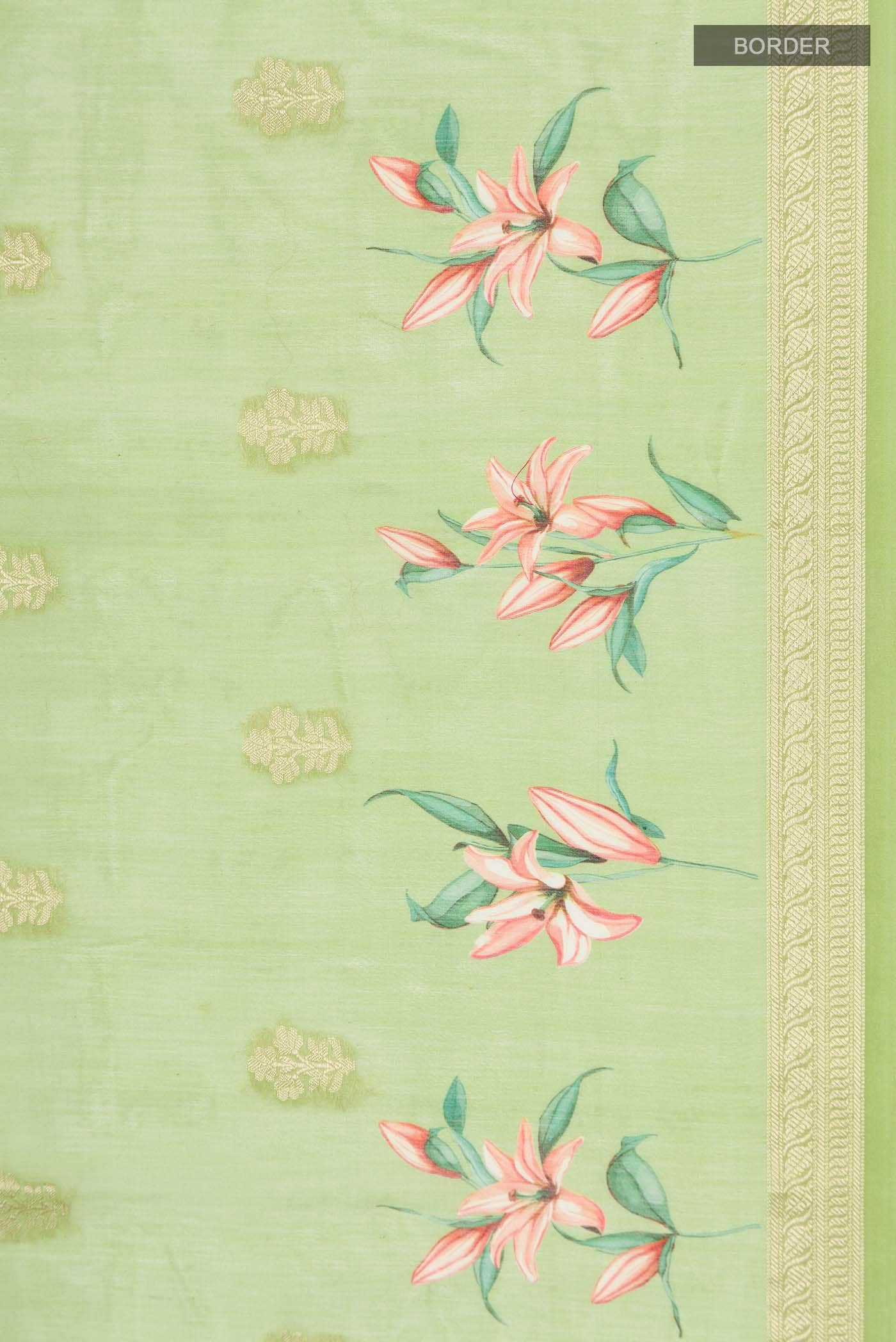 Green Silk Cotton Saree