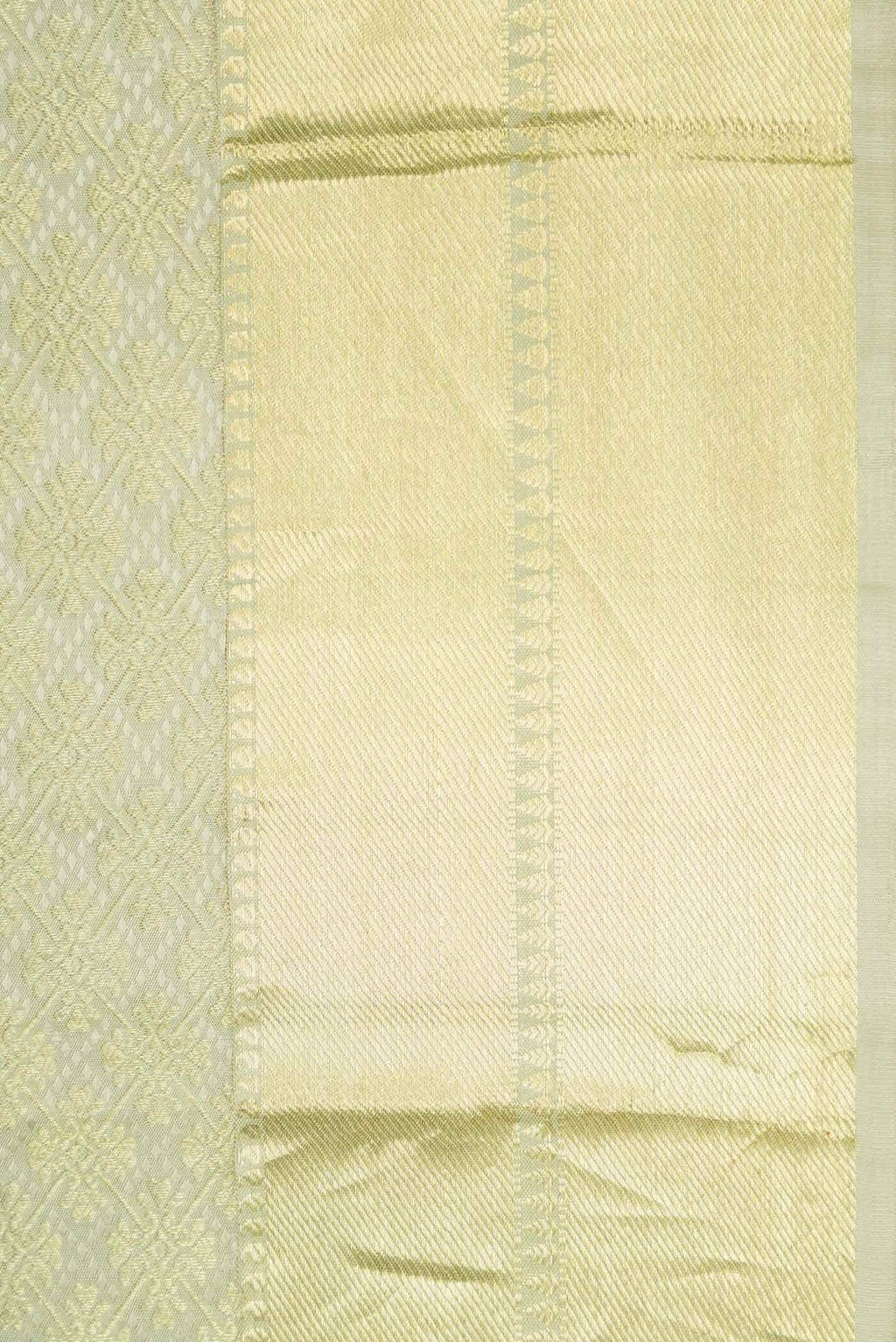 Light Green Dual Tone Kanchipuram Silk Saree