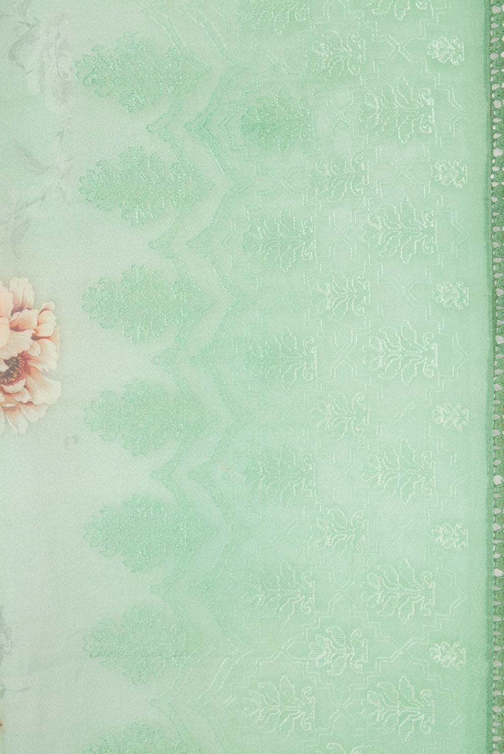 Light Green Organza Silk Saree